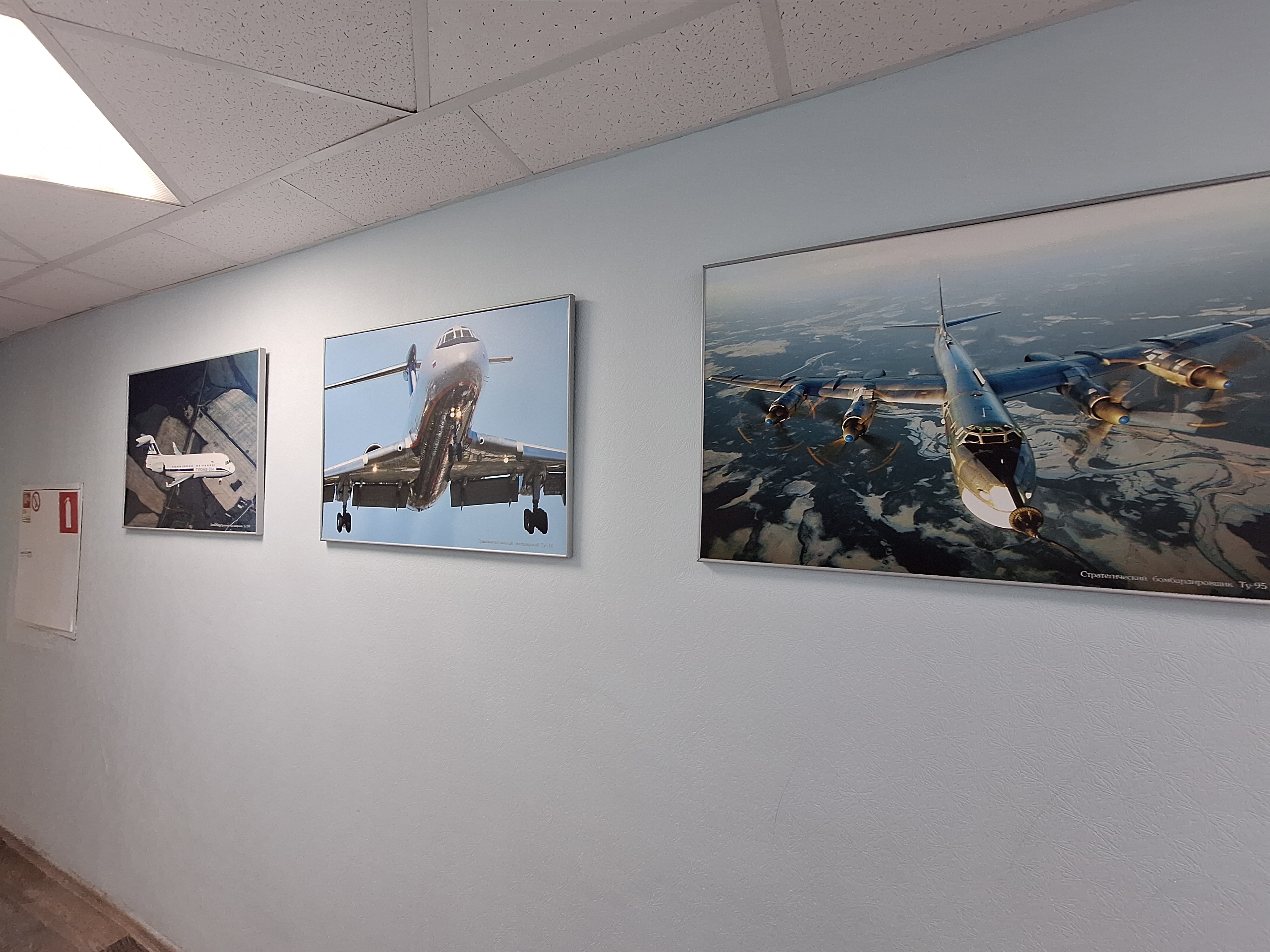 Фото Авиатор