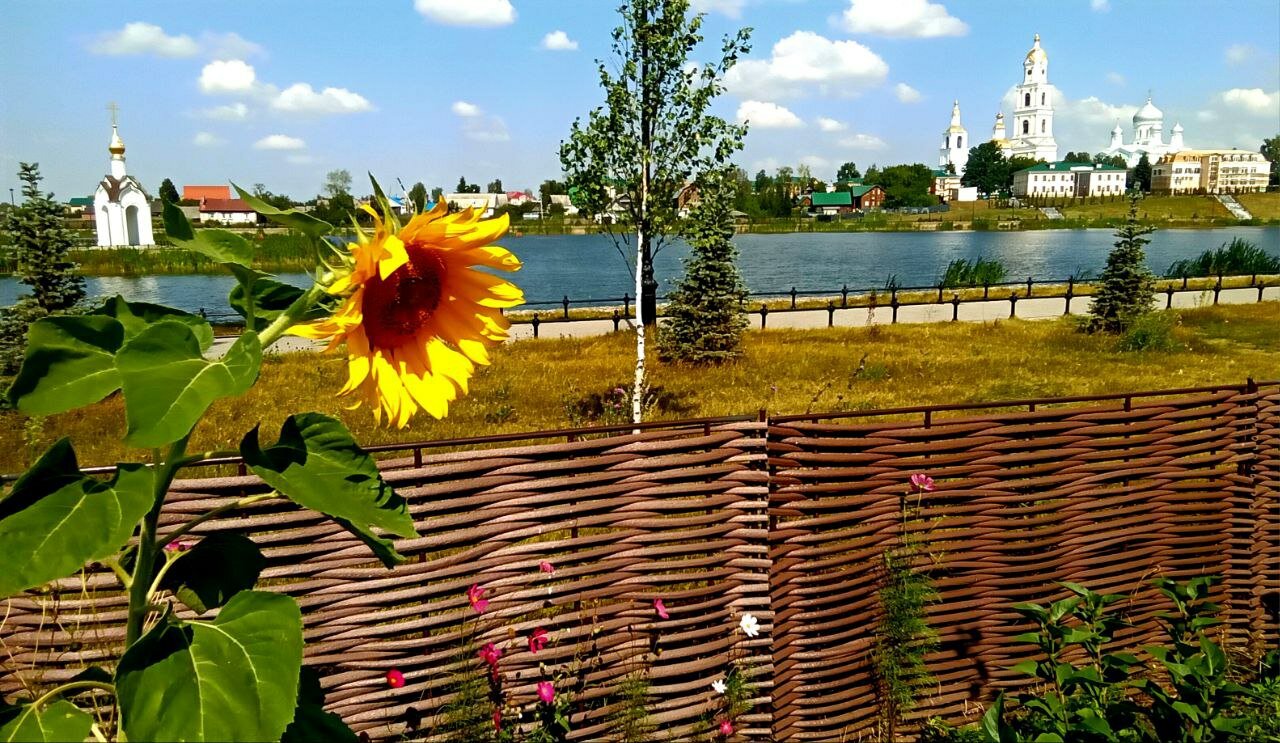 Фото Дивный дворик