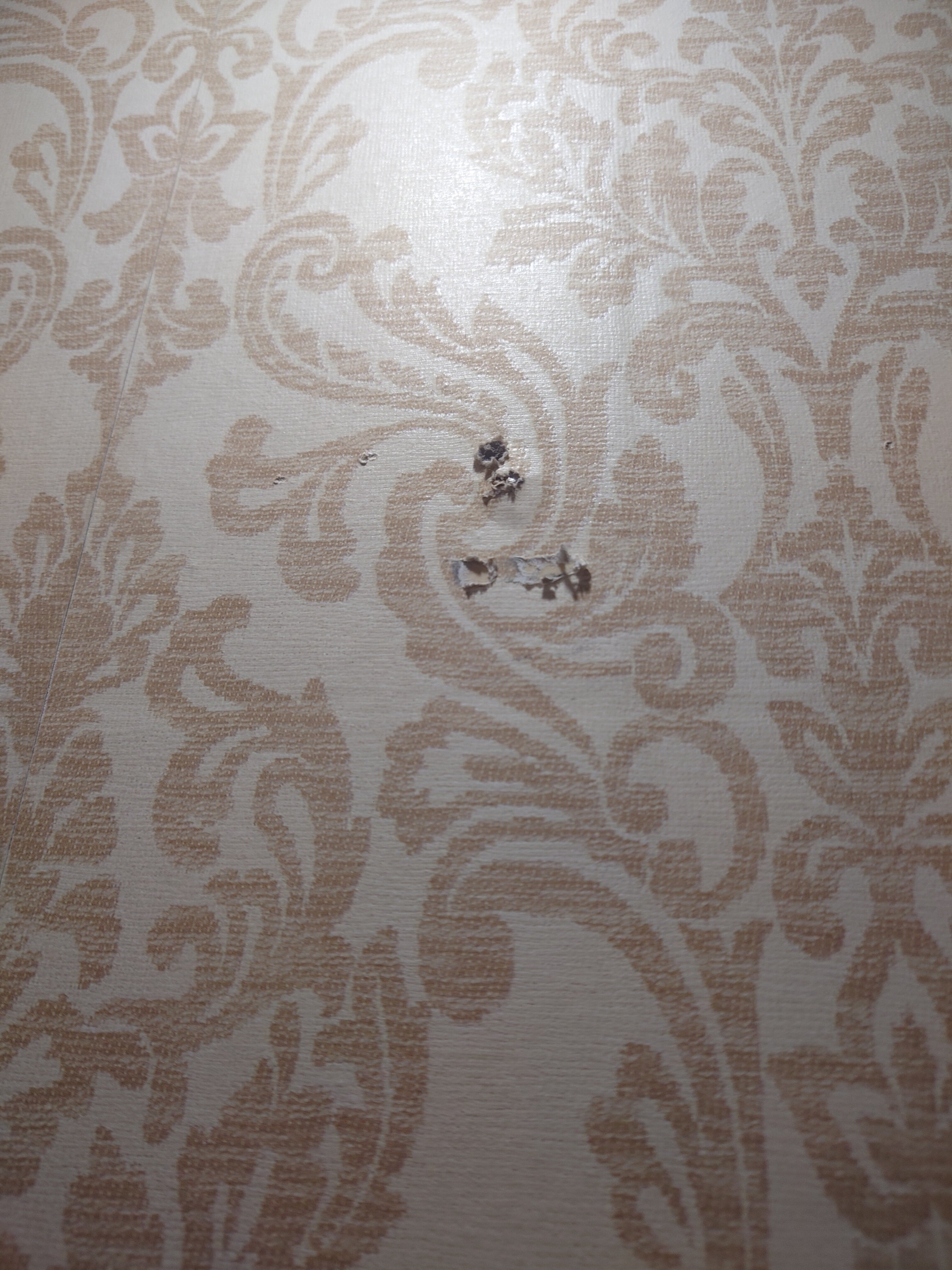 Фото Солотель