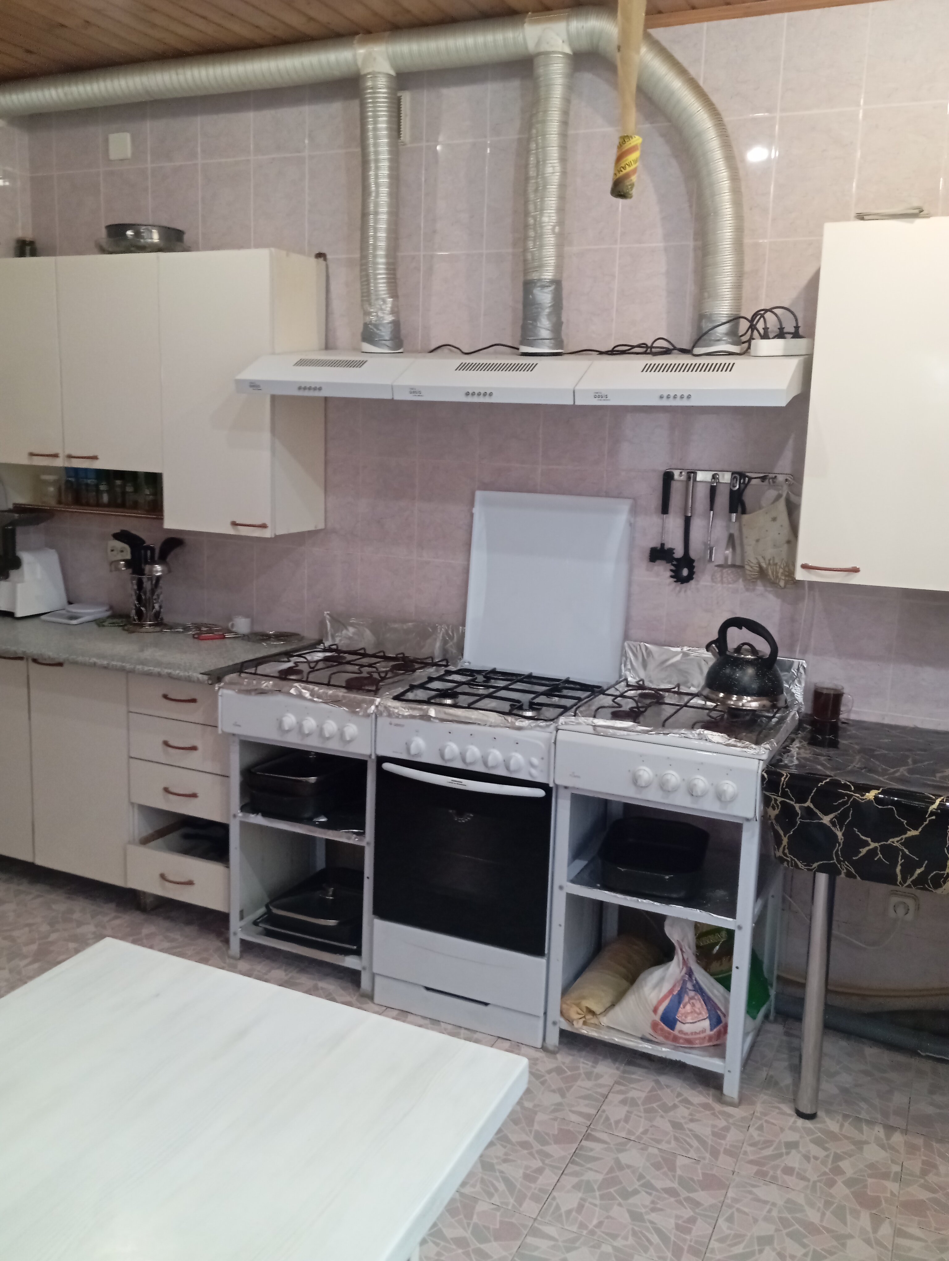 Фото Серебристая Чайка