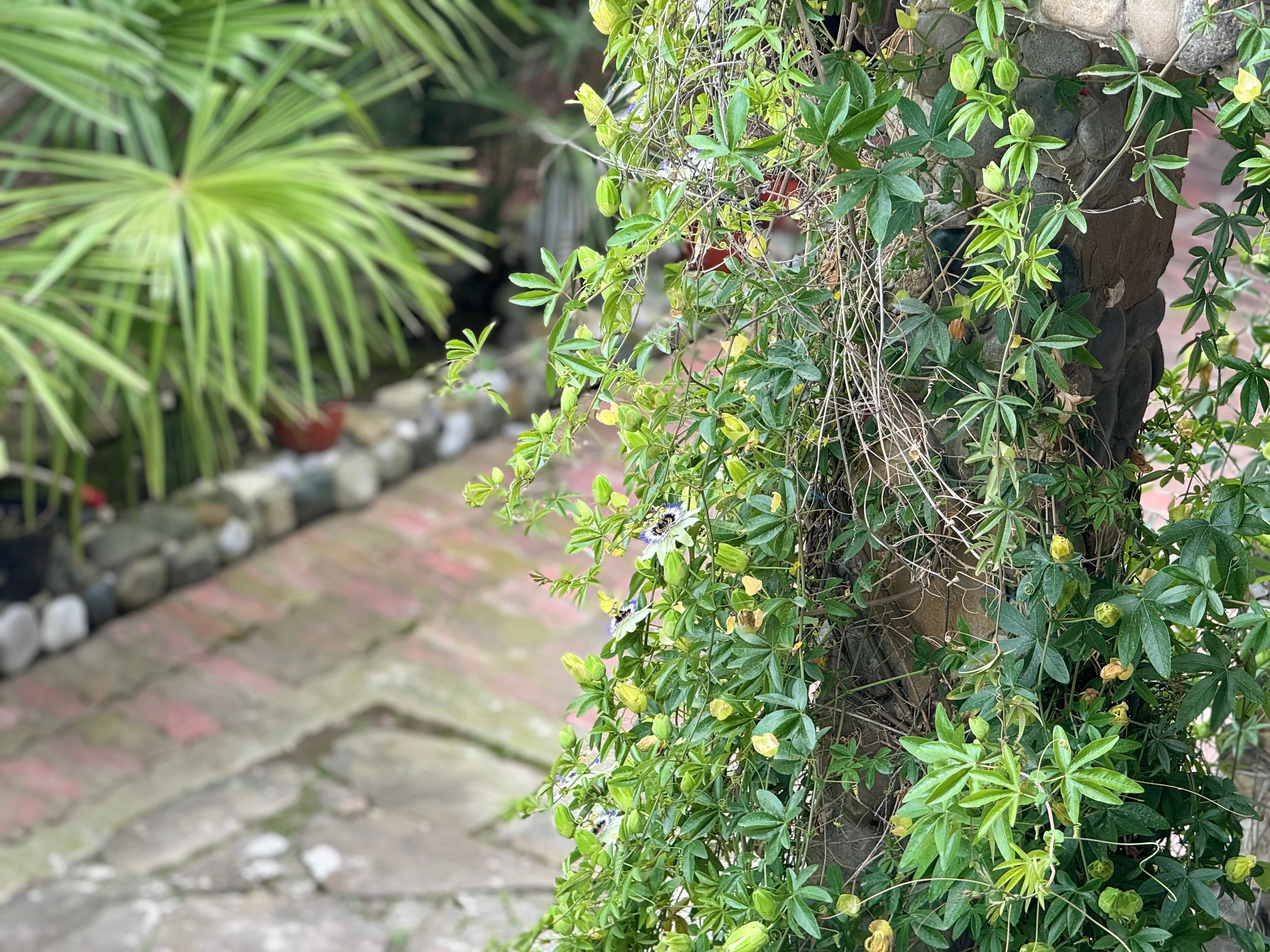 Фото Hotel Damir