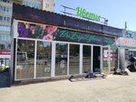 Азалия (Samara Region, Syzran, prospekt 50 let Oktyabrya) ، محل زهور