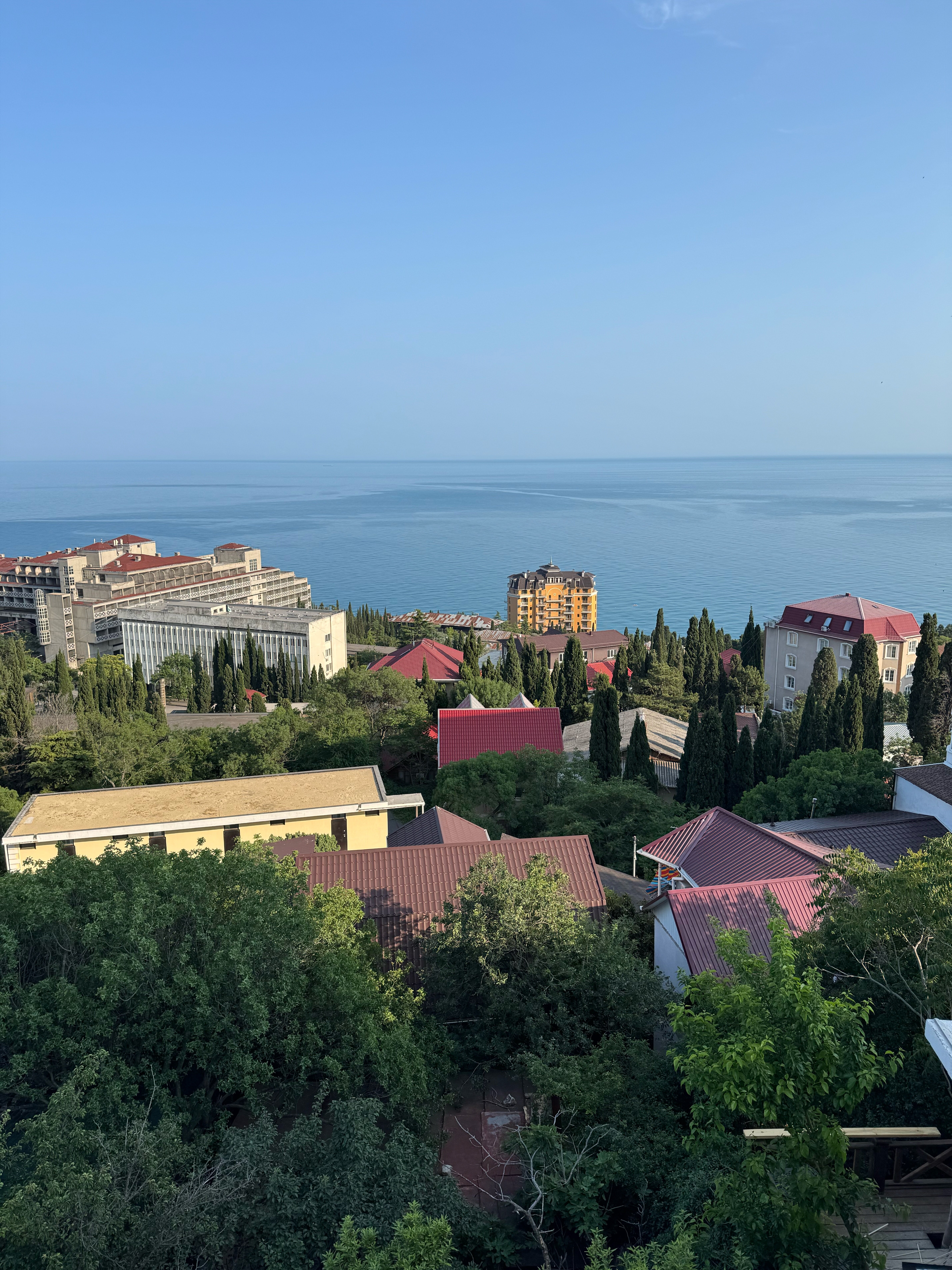 Фото Каштановая Аллея