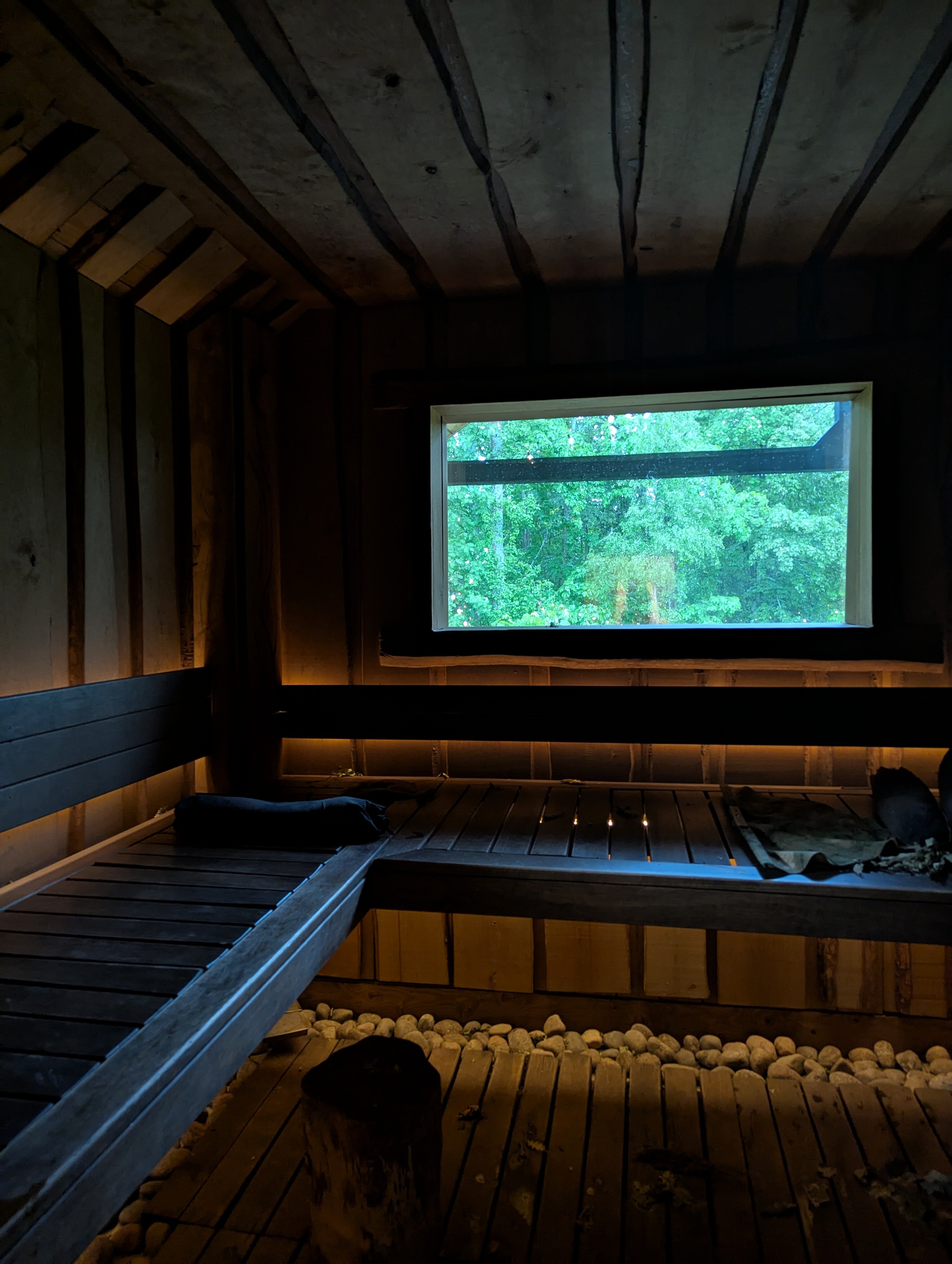 Фото Лес и Гора