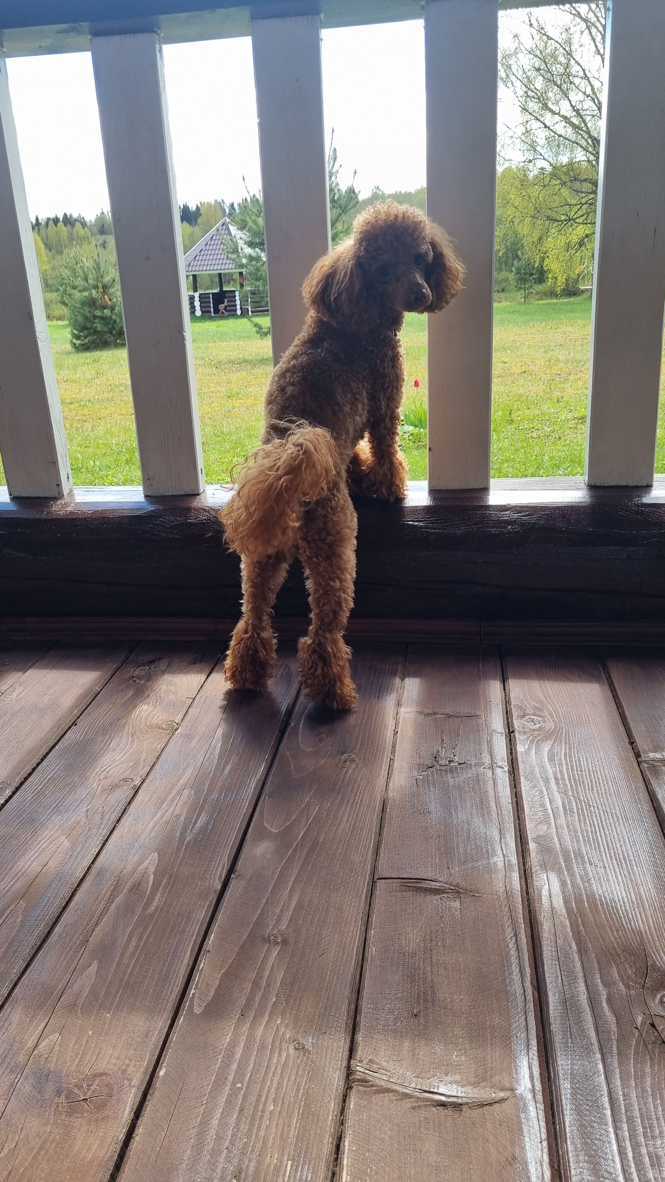 Фото Верхнее Никольское