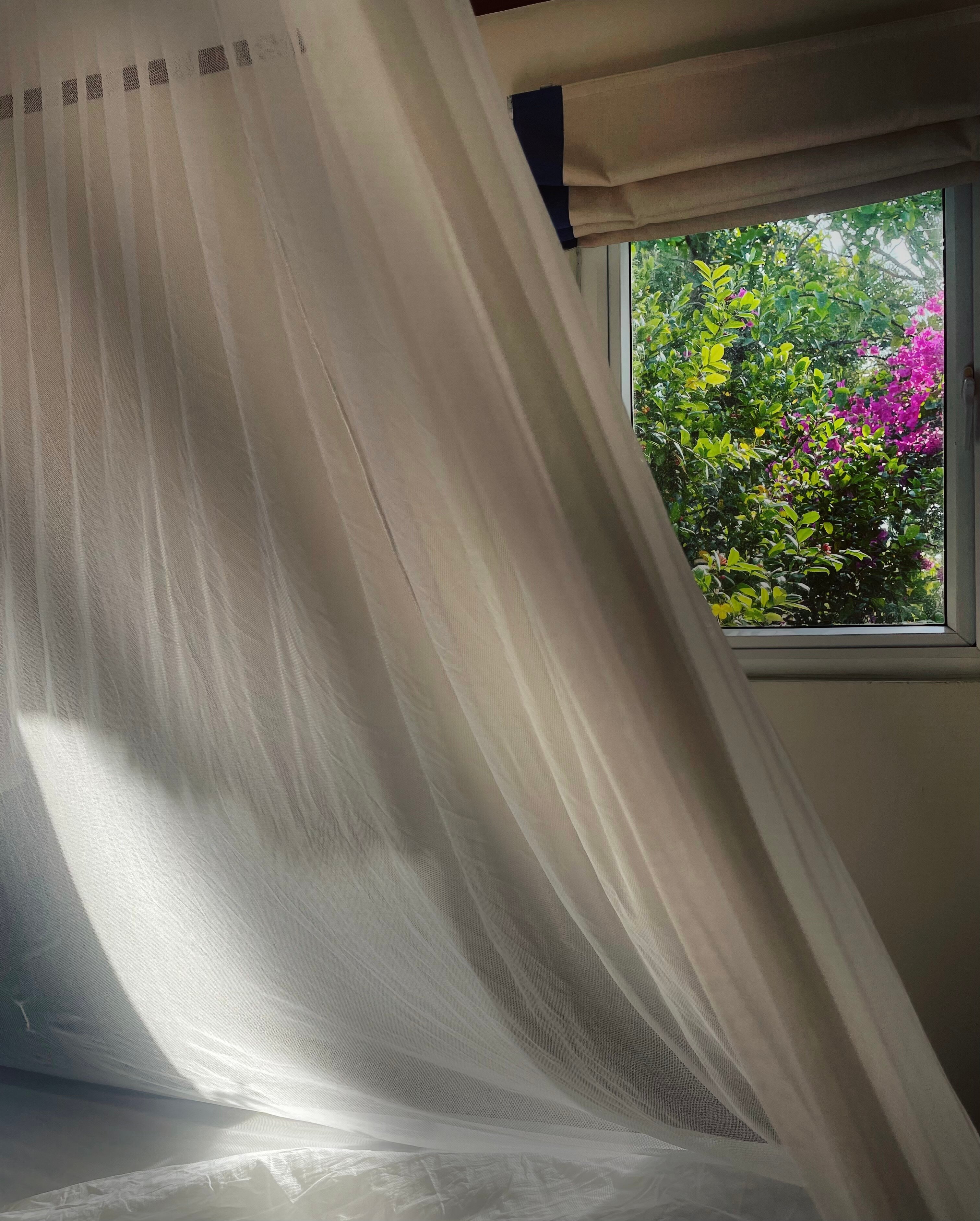 Фото Victoria Phan Thiet Beach Resort & SPA