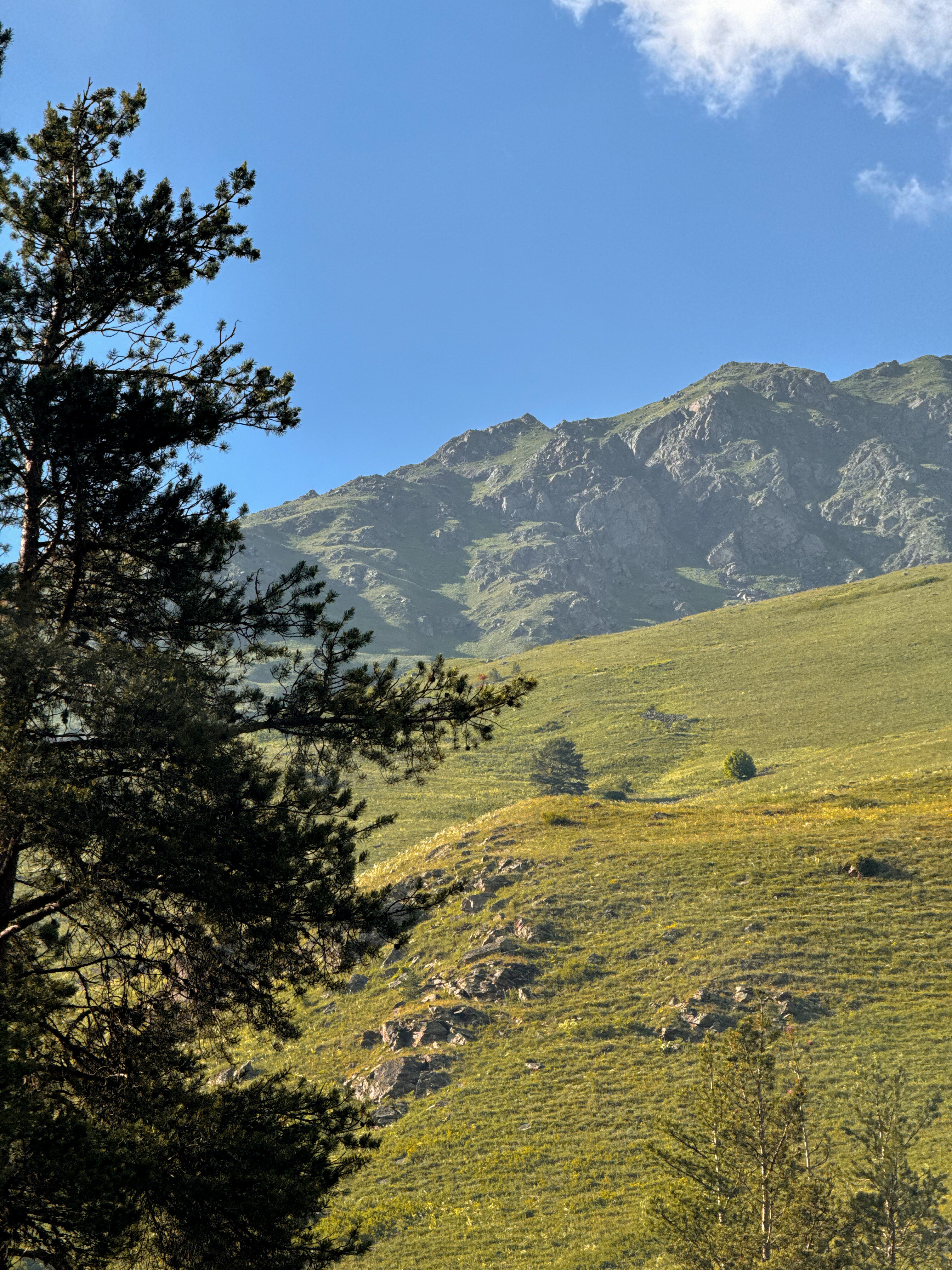 Фото Гостевой дом 2050