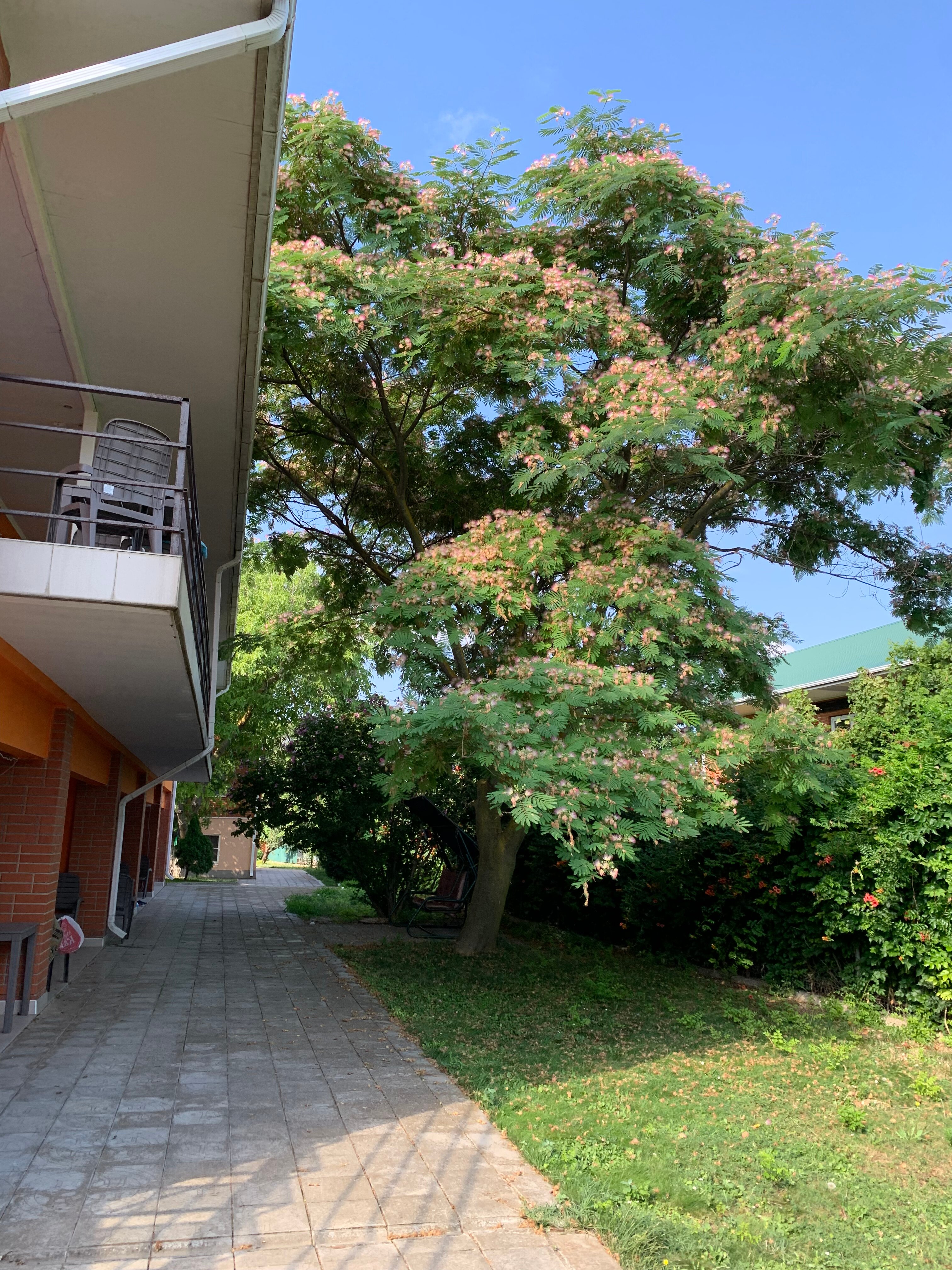 Фото Виктори