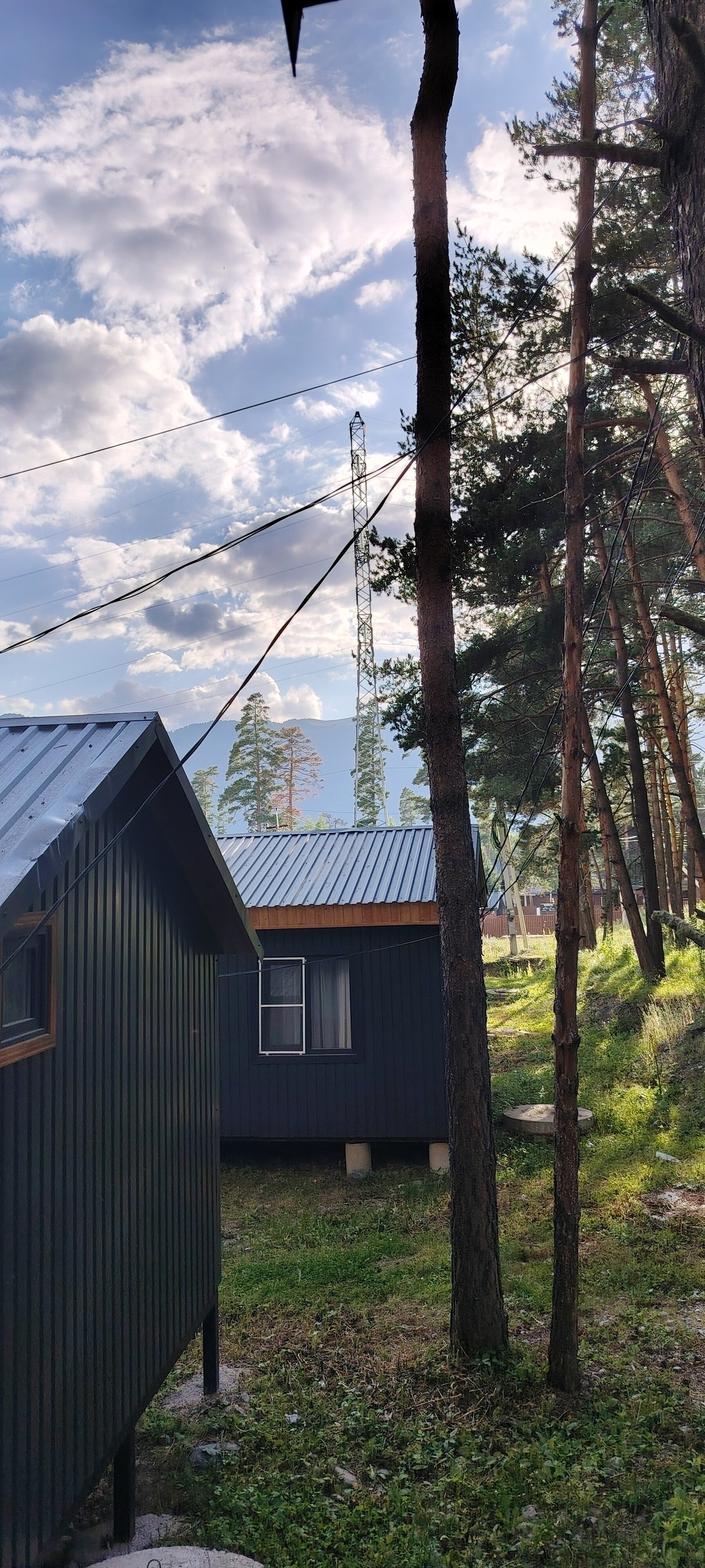 Фото Paradise Forest