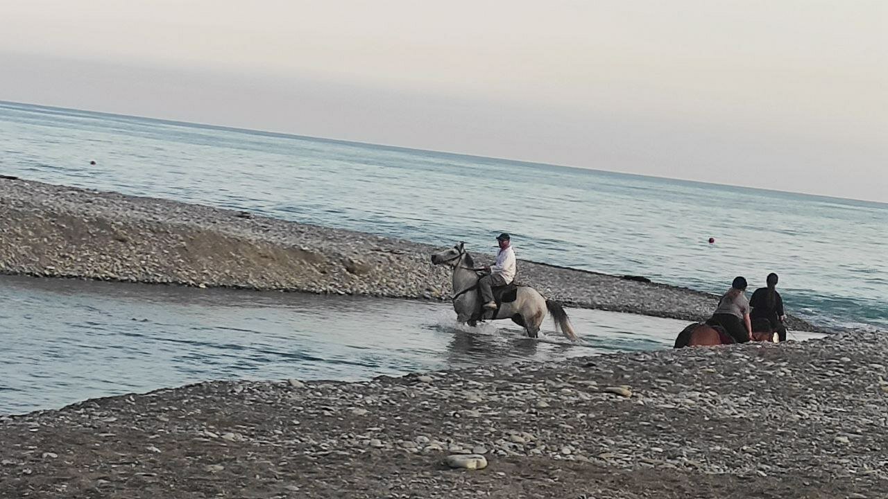 Фото Особенный