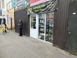 AD (Takhaui Akhtanov Street, 46), servicios de impresión