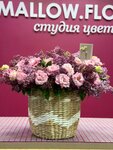 Mallow. Flowers (ulitsa Govorova, 9А), floristeria