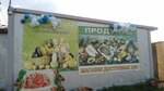Магазин продуктов (village Savitskoe, Tsentralnaya ulitsa, 93) ، محل بقالة
