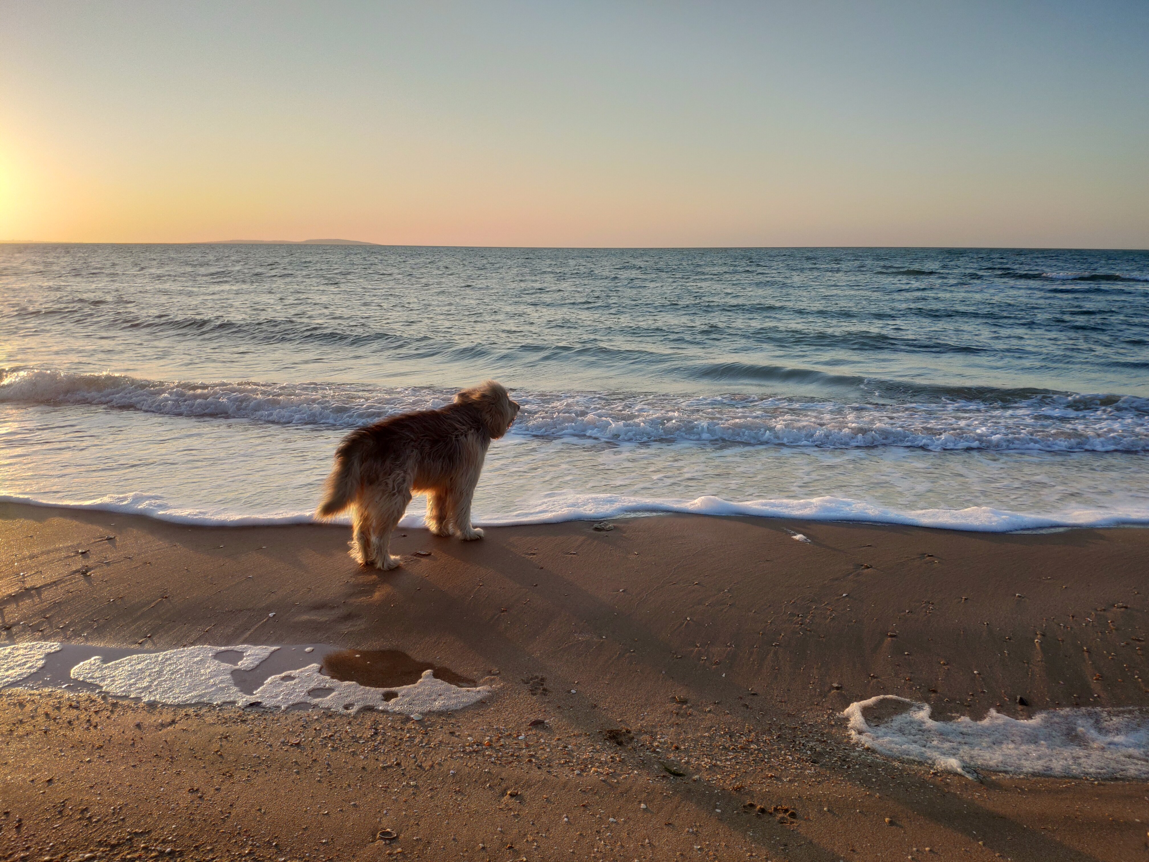 Фото Усадьба Отрада