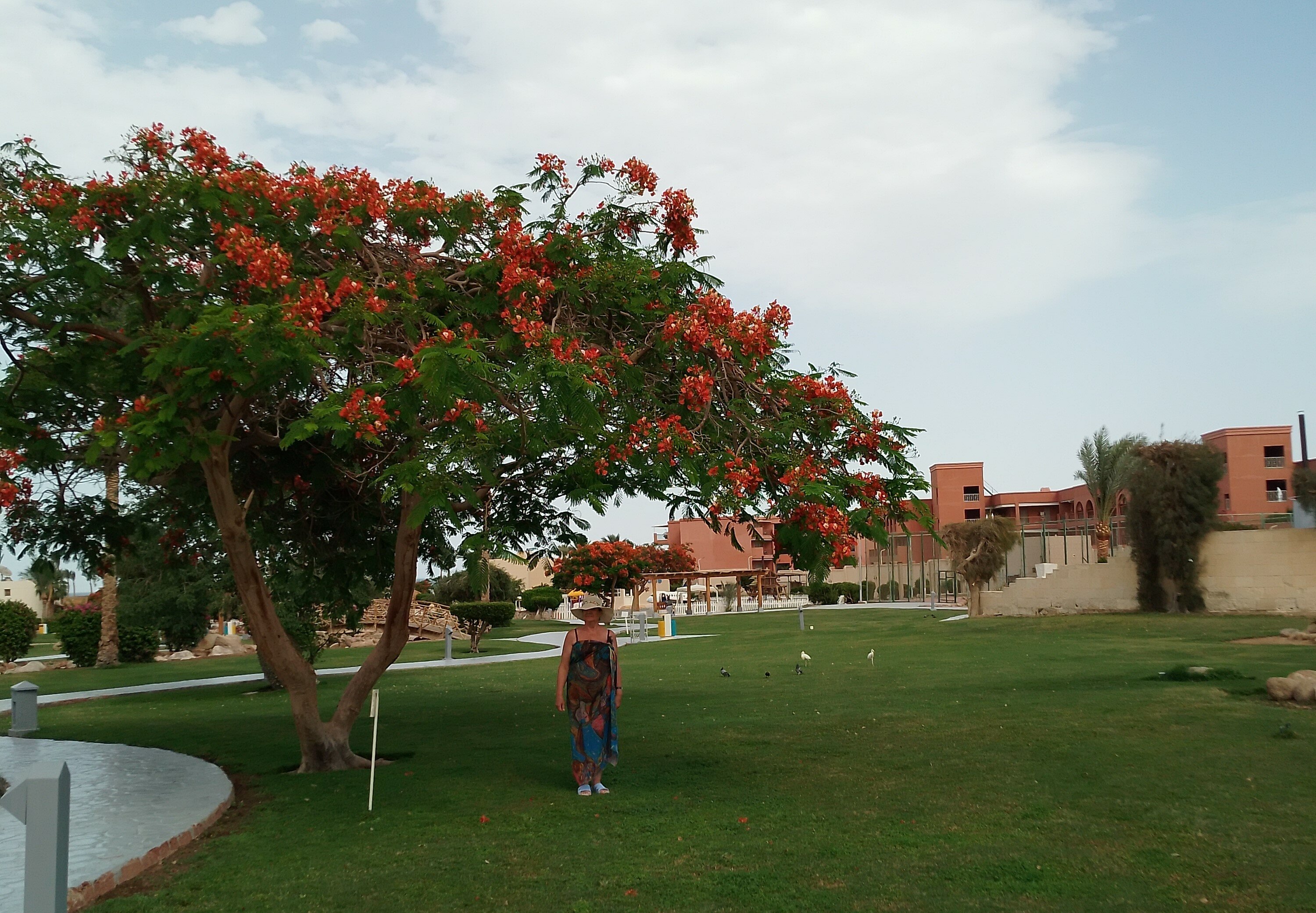 Фото Aurora Oriental Resort