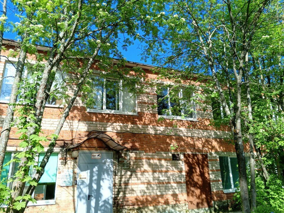 Children's hospital Егорьевская центральная районная больница, детское отделение, Egorievsk, photo