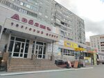 Lineika (10 Let Oktyabrya Street, 113), stationery store