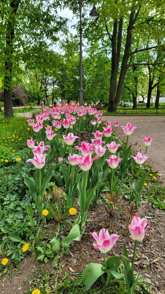 Парк культуры и отдыха Московский сад, Санкт‑Петербург, фото