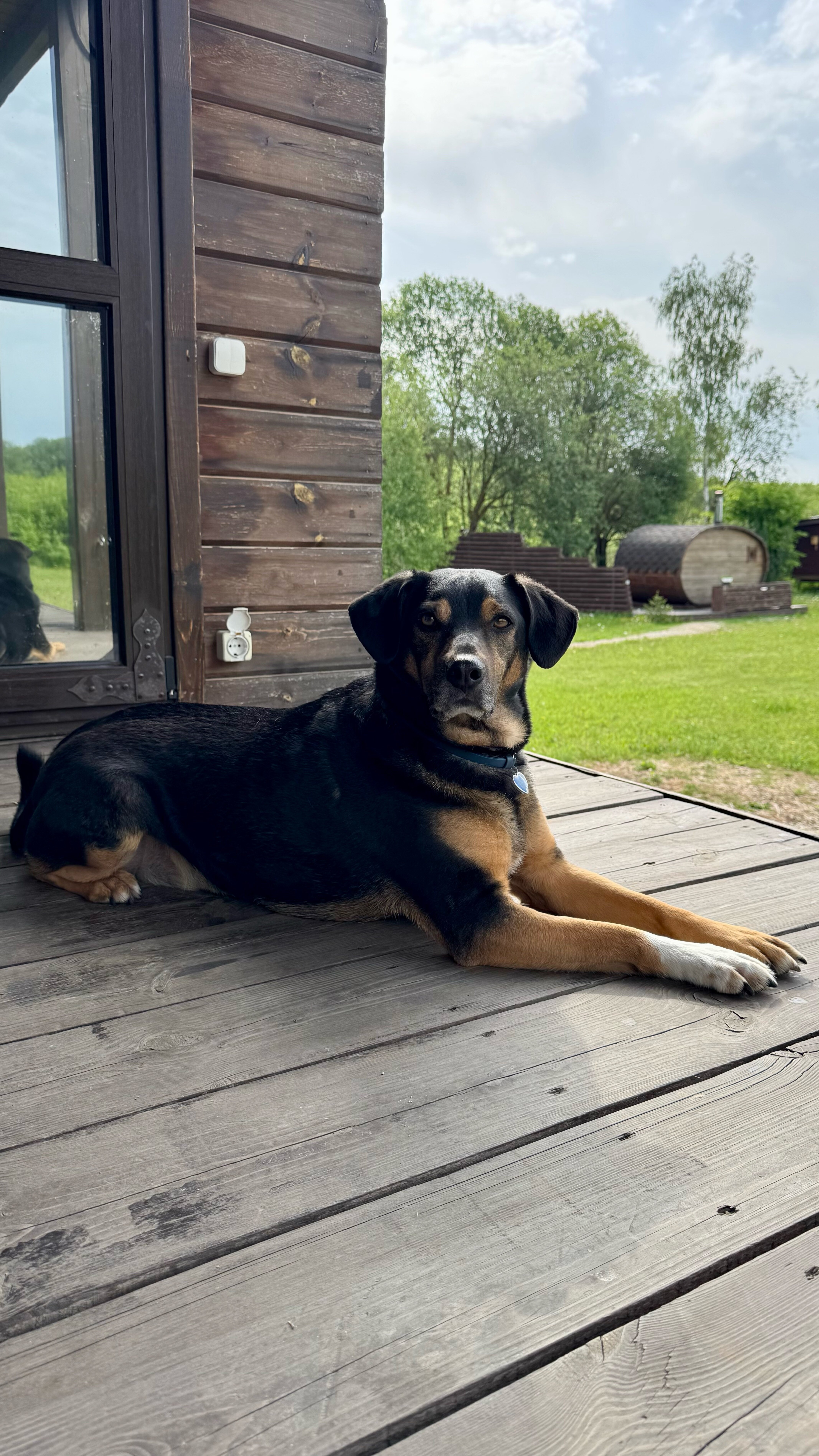 Фото Ферма Славная