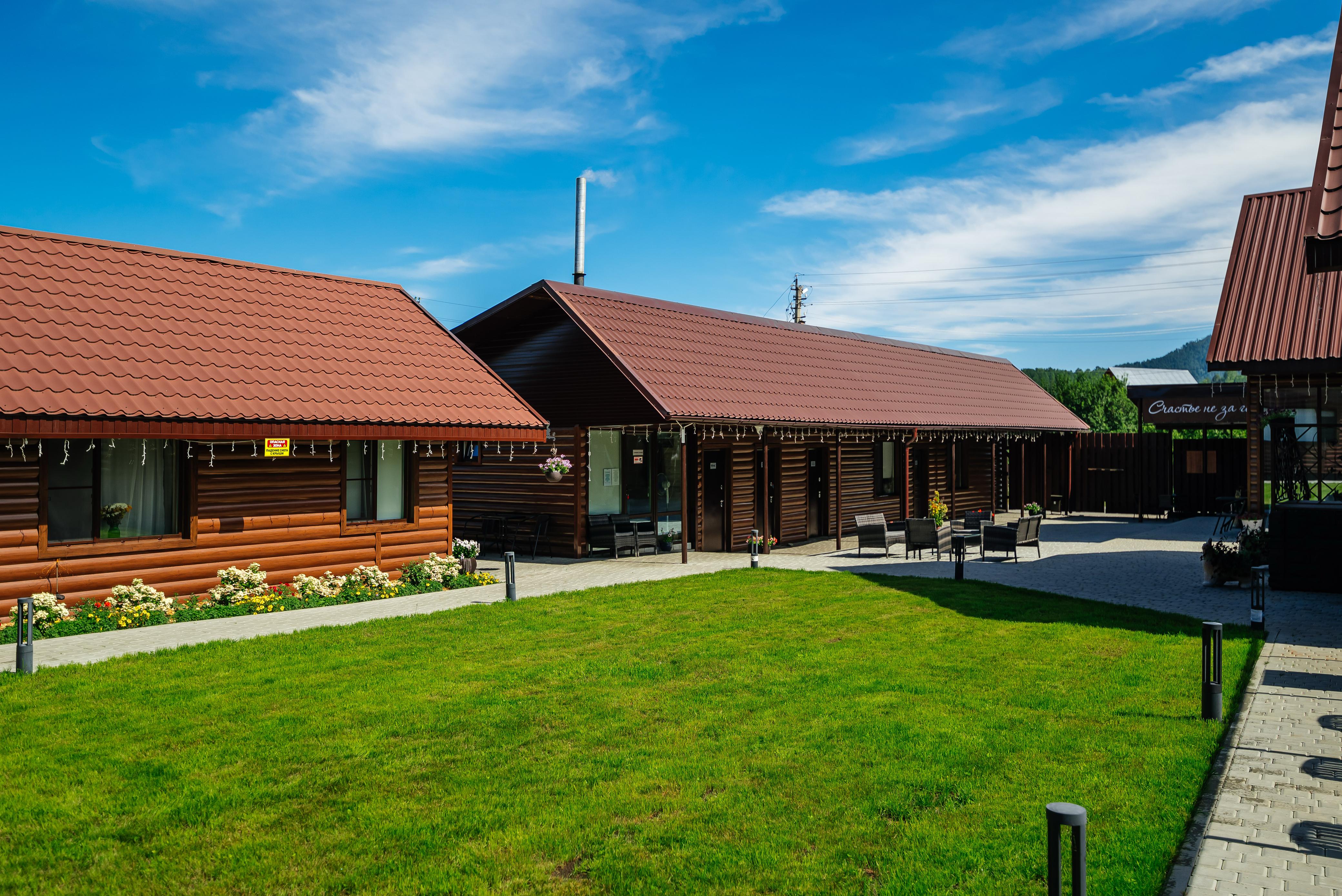 Фото Рыжий кот