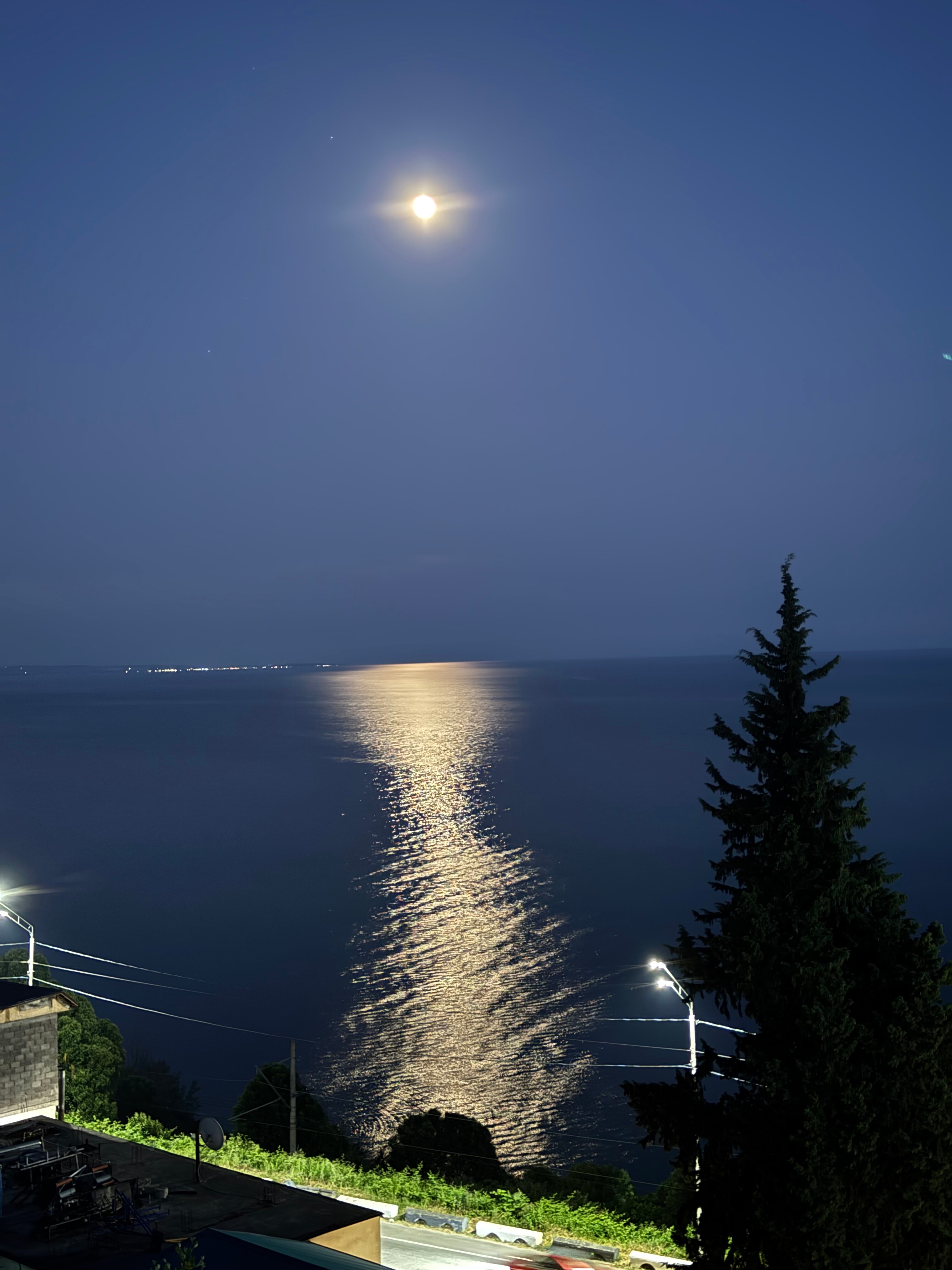 Фото Пансионат Багрипш