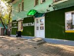 Цветы (Chkalova Street, 32), flower shop