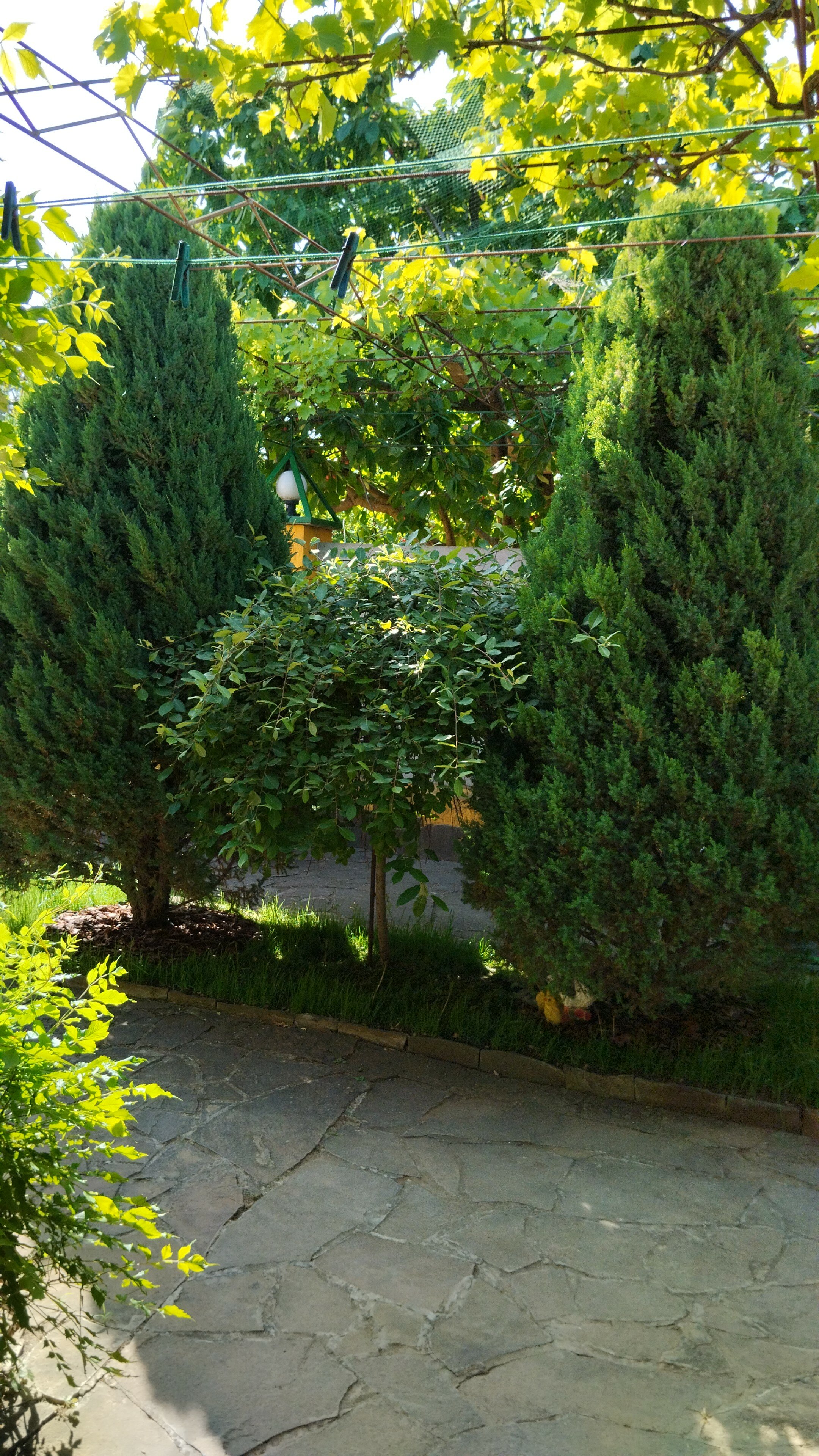 Фото В гостях у моря