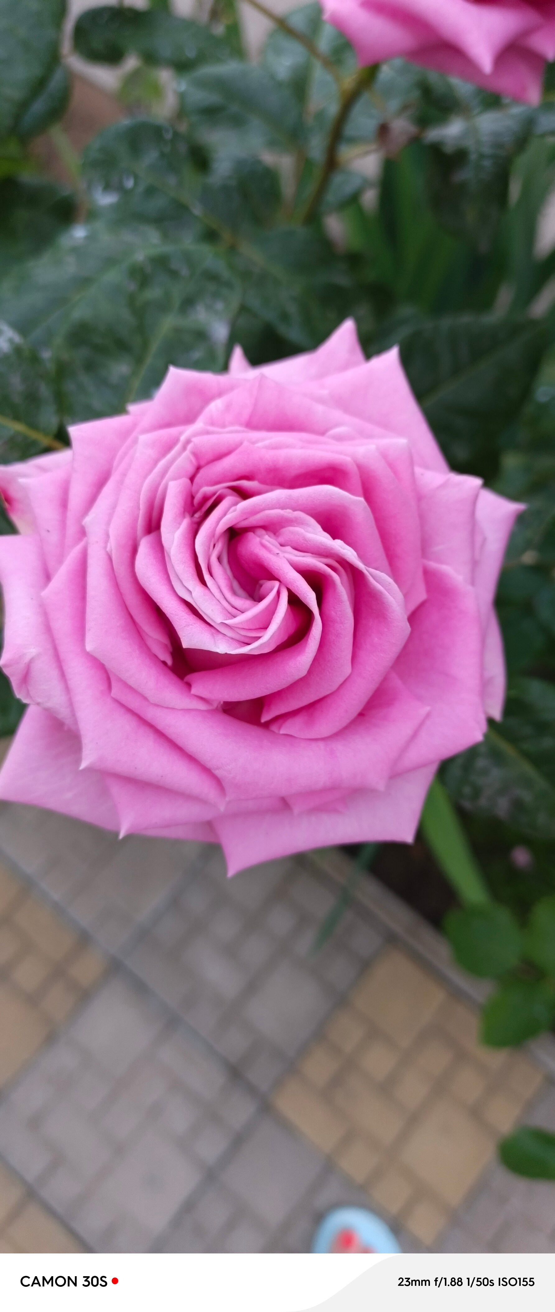 Фото Ореховый рай