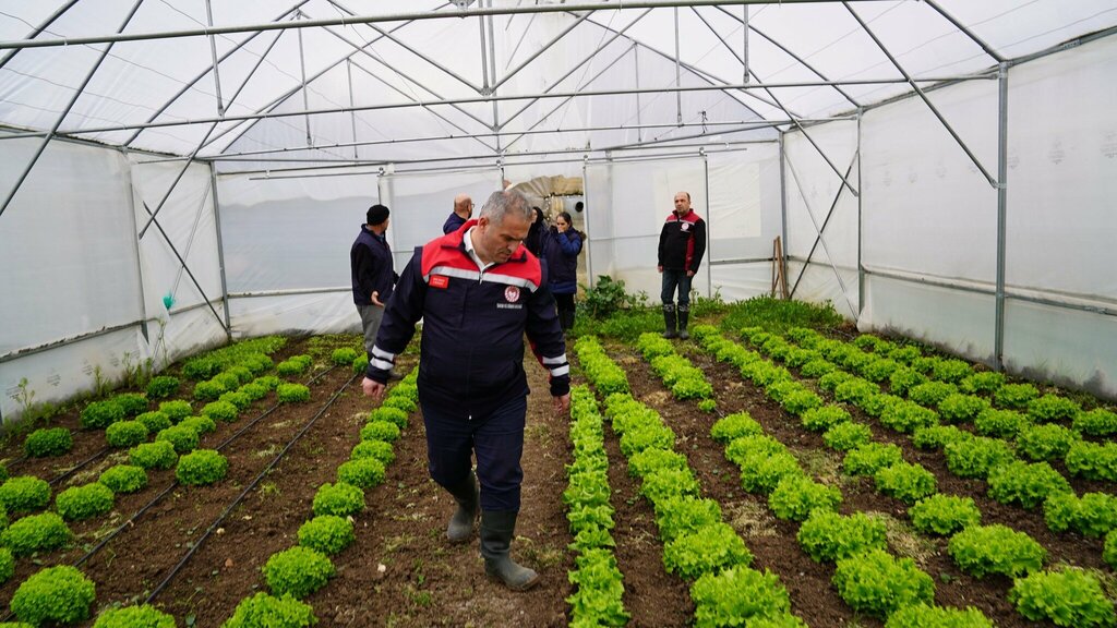Belediyeler, devlet daireleri Bartın Gıda Tarım Ve Hayvancılık Il Müdürlüğü, Bartın, foto