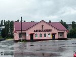 Chaplygin Bus Station (Vokzalnaya ulitsa, 11), estación de autobuses, estación de autobuses
