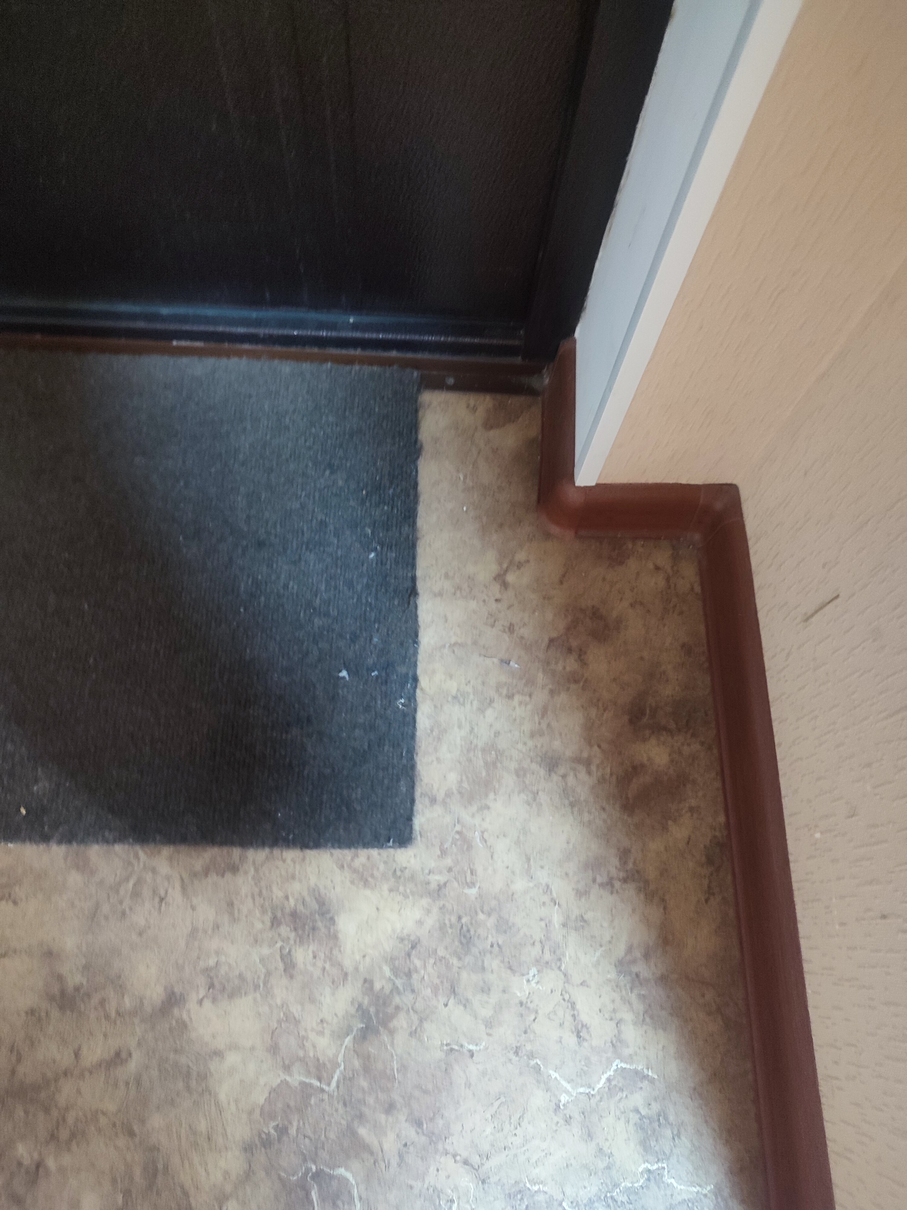 Фото Бермудас