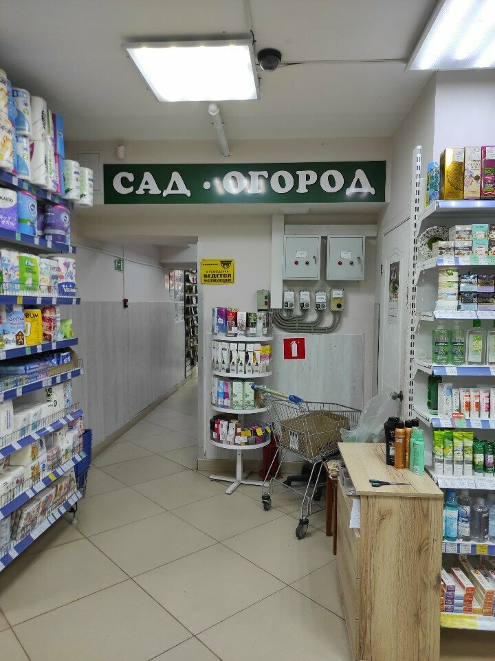 Gardening shop Saturn, Kaluga, photo