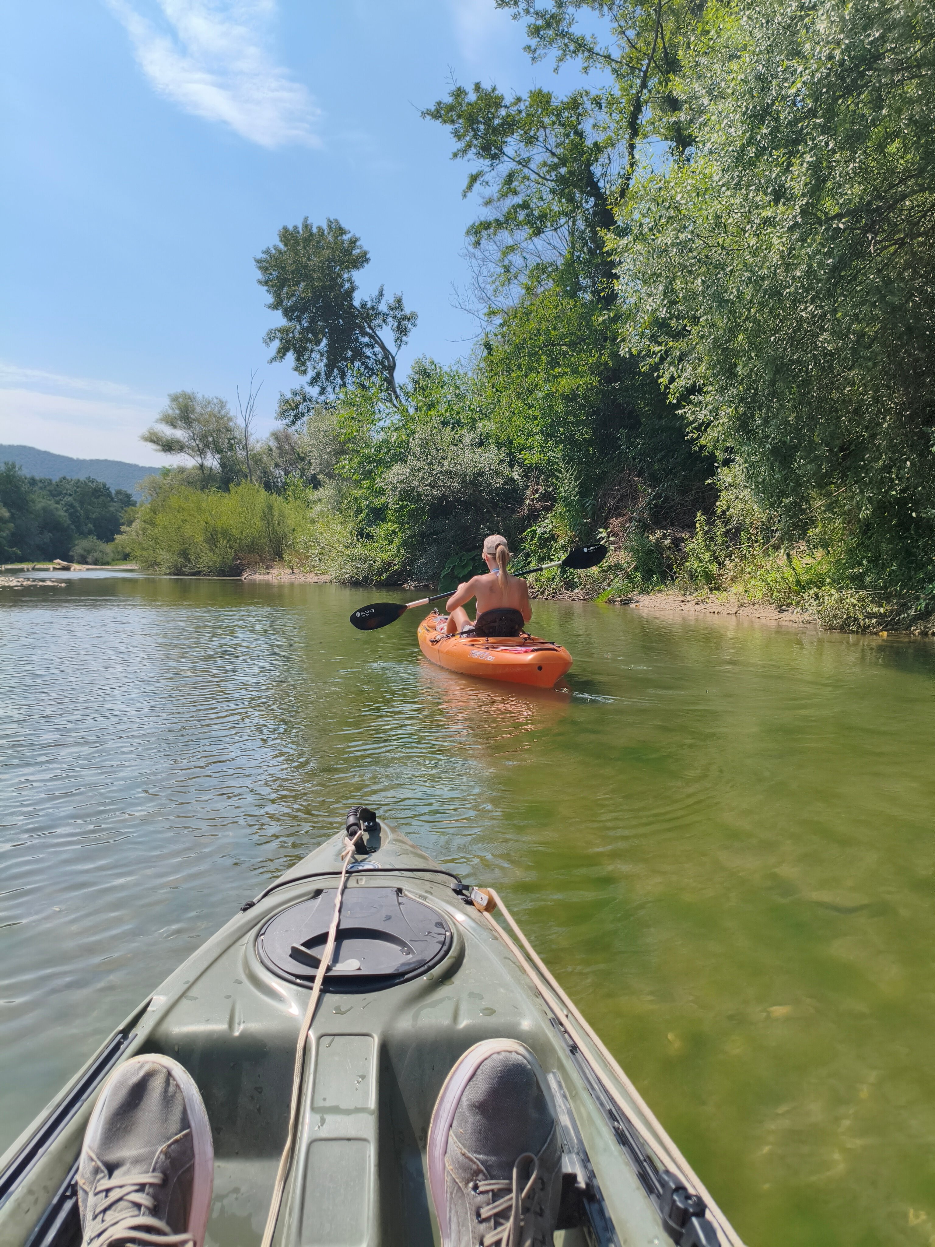 Фото Берег леса