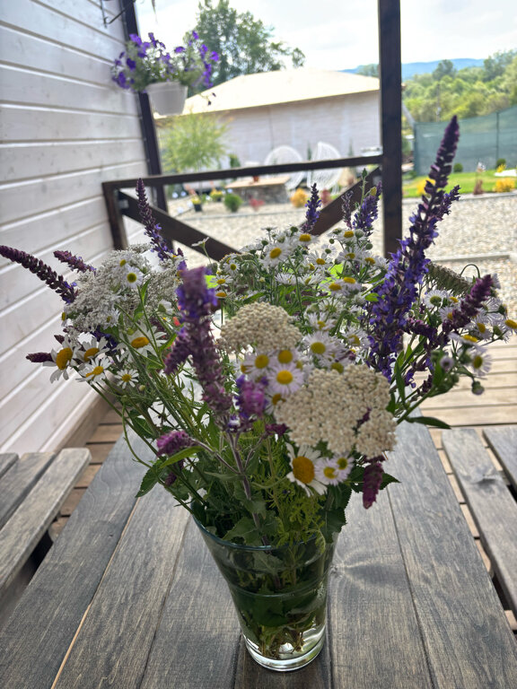 Фото Белая Дача