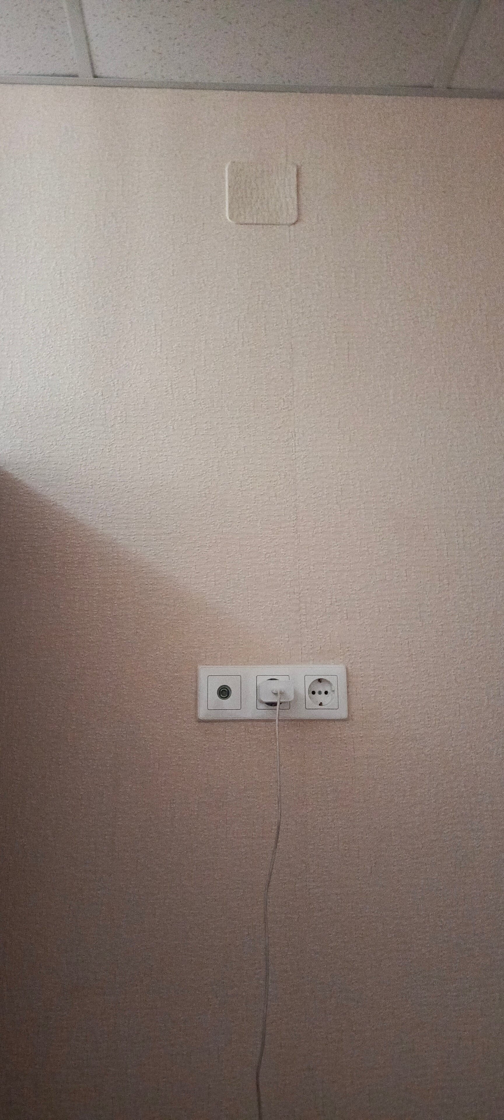 Фото Море и Пальмы