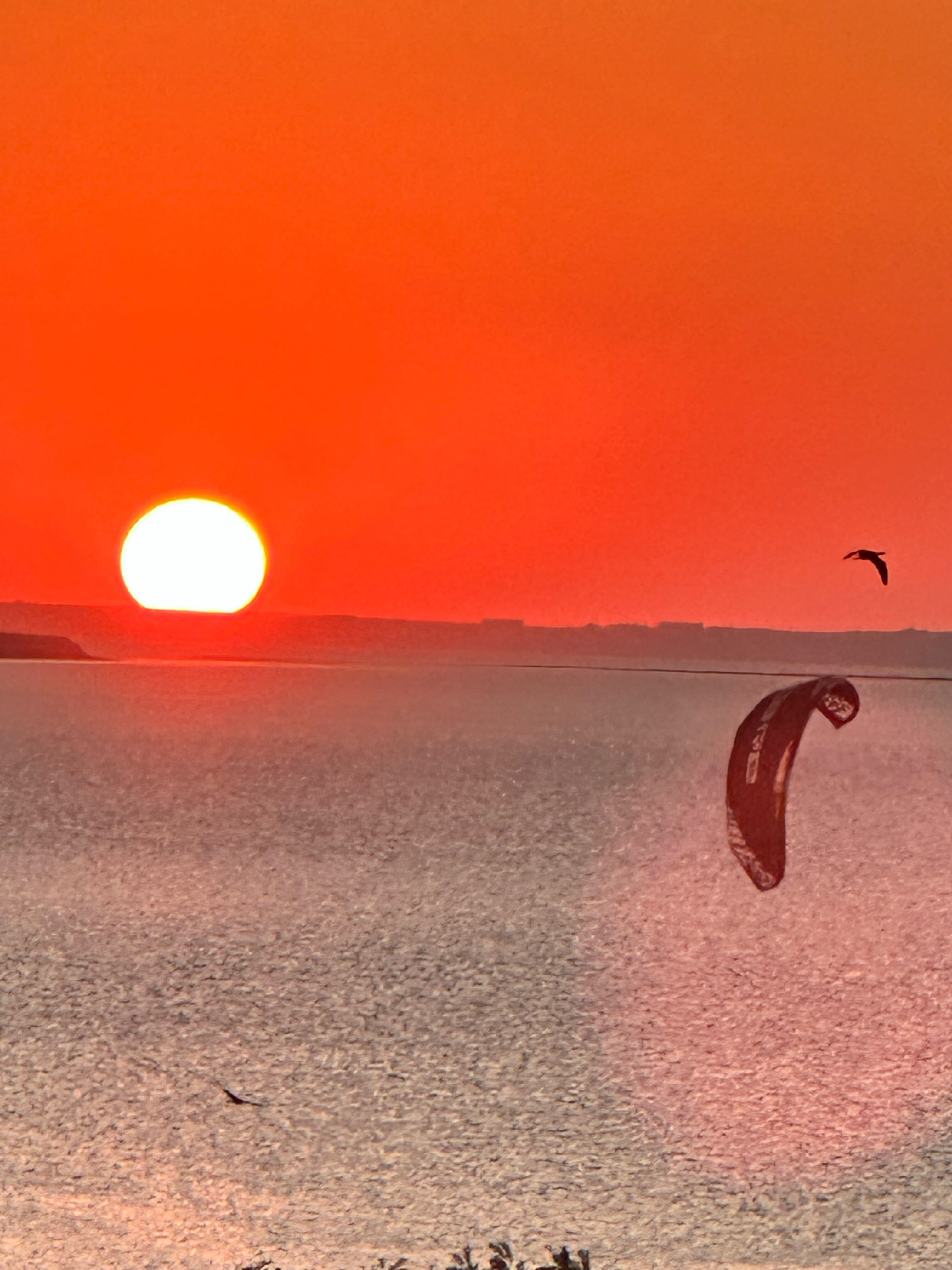 Фото Экзотик Эльвар