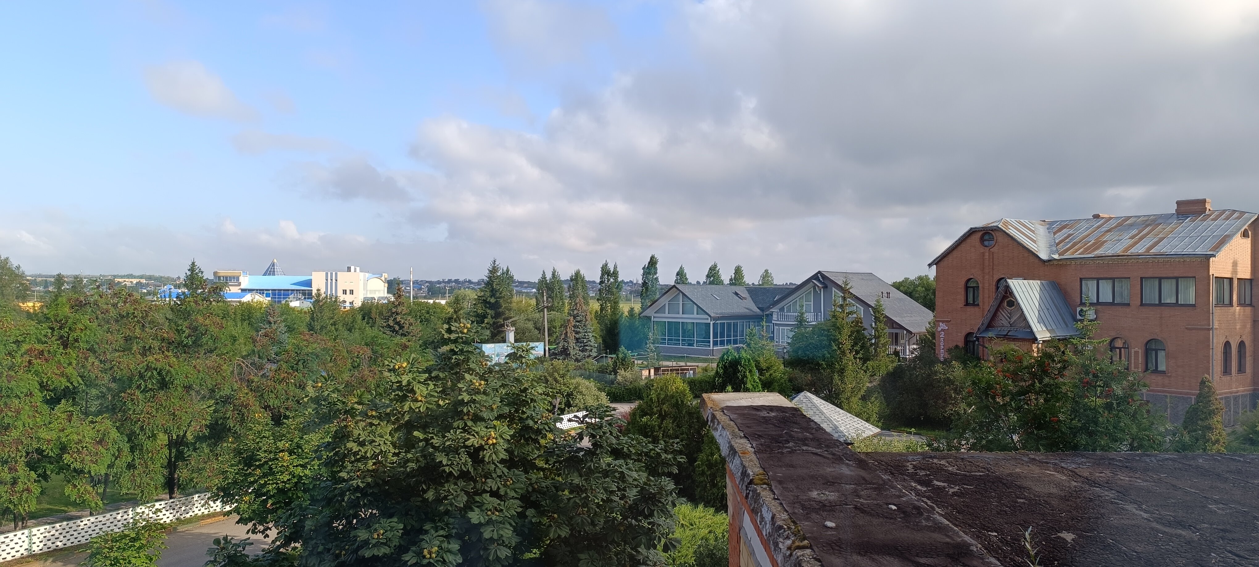 Фото Орхидея