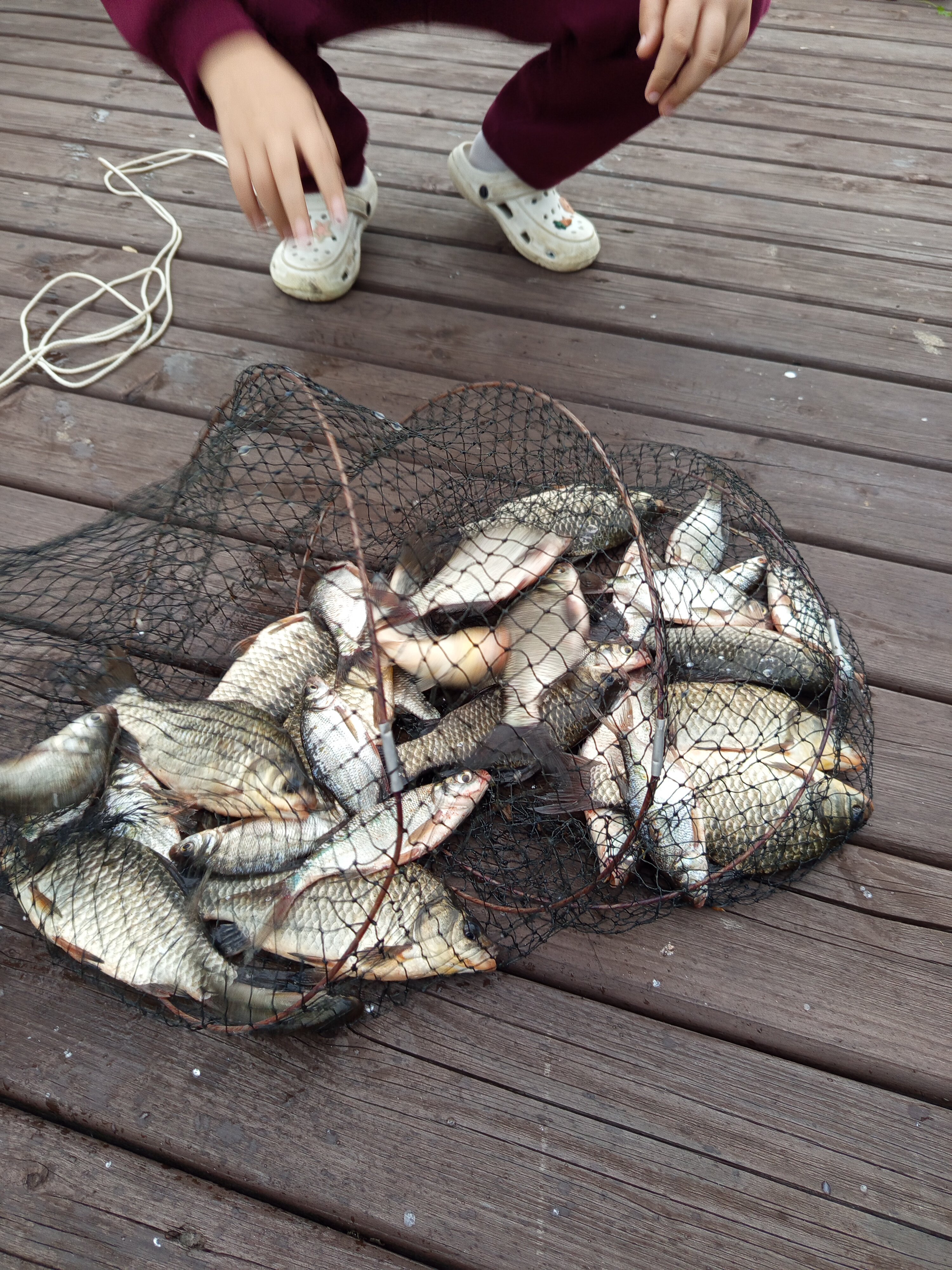 Фото Iliynka Village