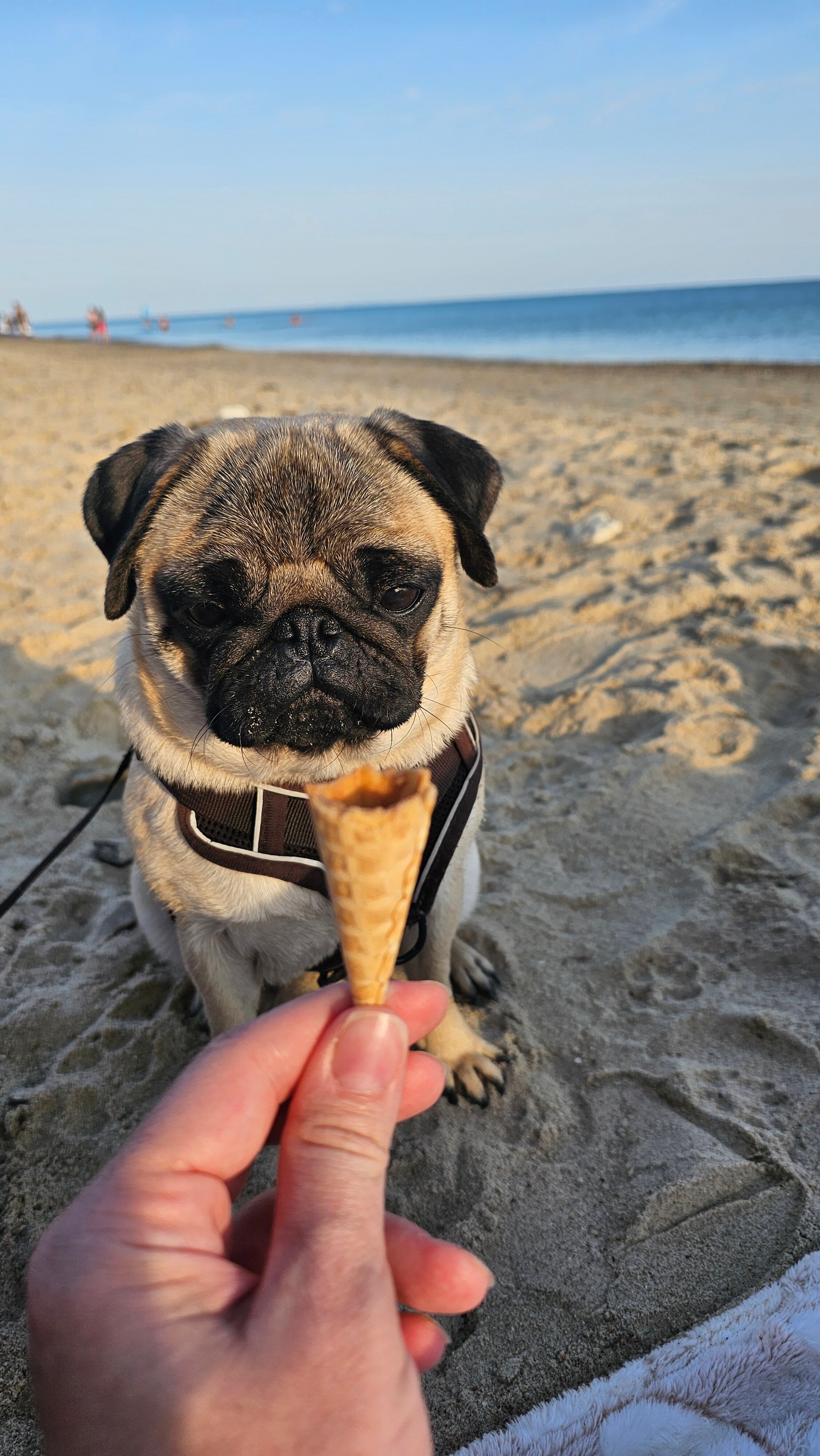 Фото Моё море