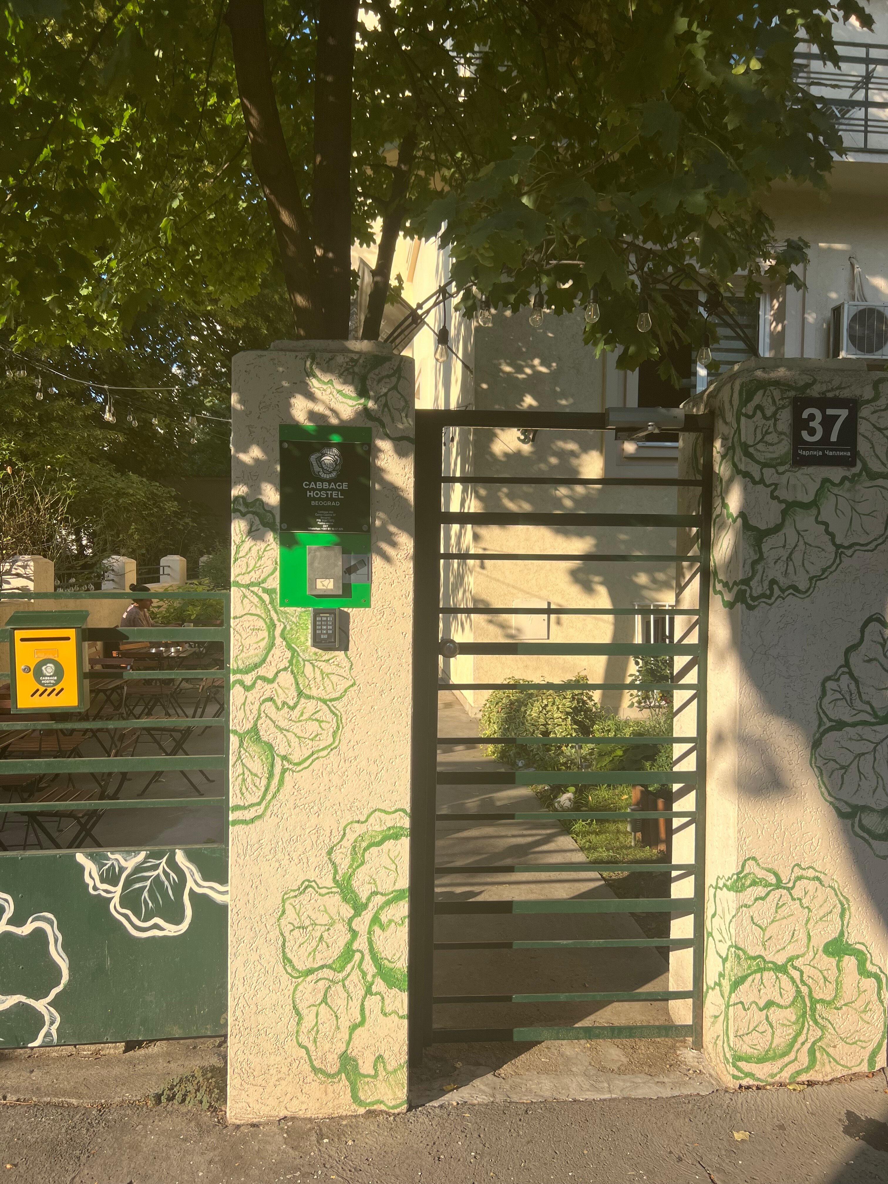 Фото Cabbage Hostel