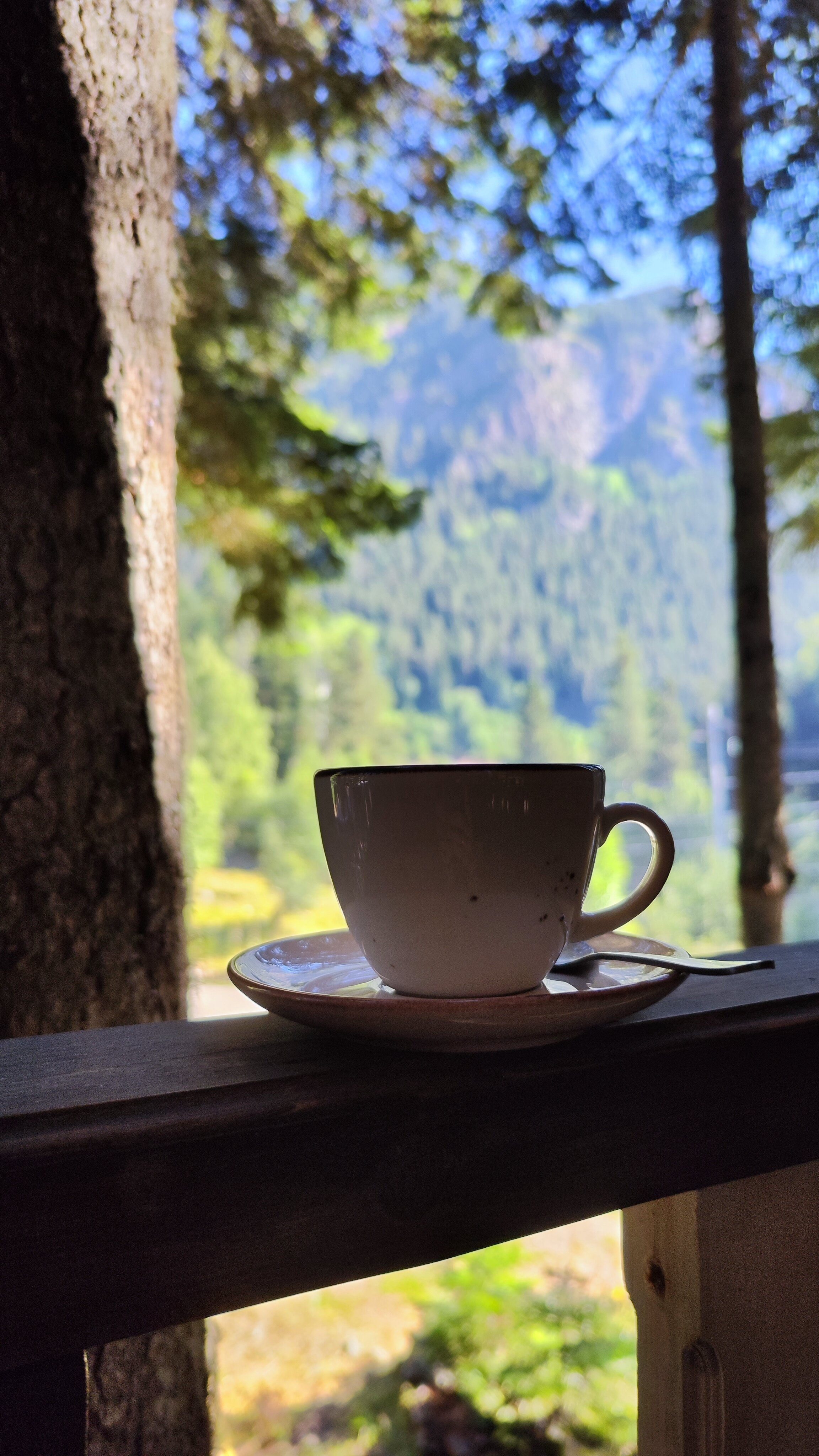 Фото Пихта-парк