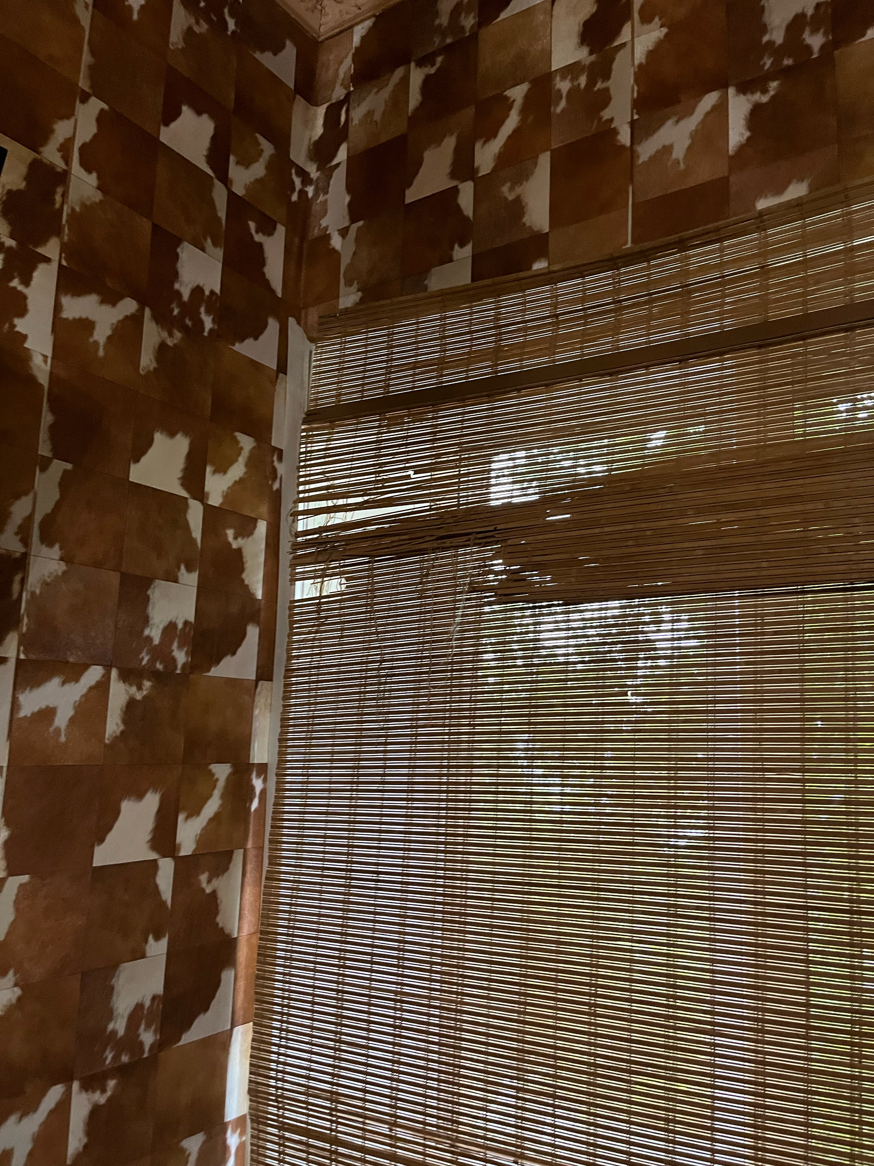 Фото Парнас