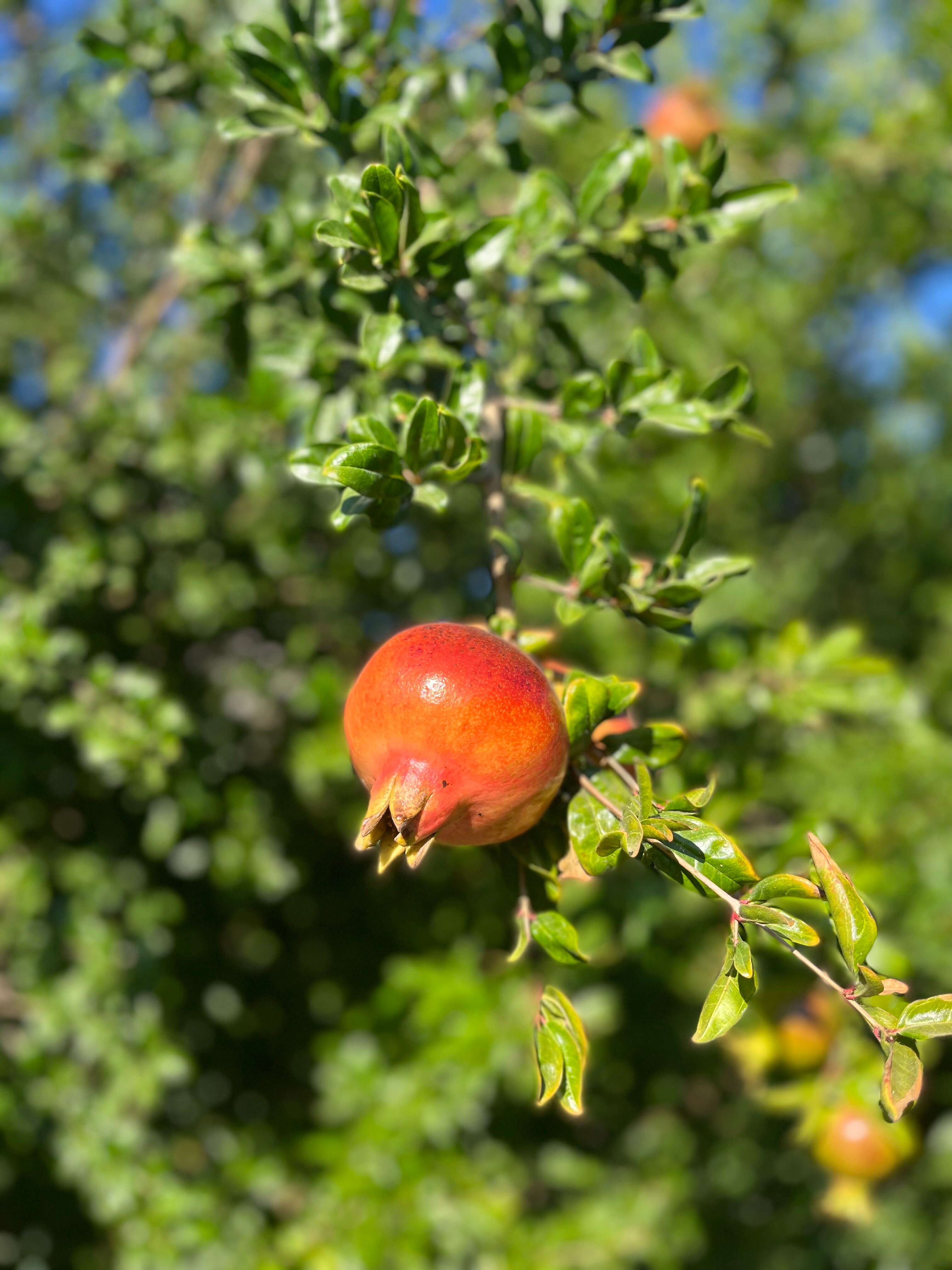 Фото Мнб Поповка