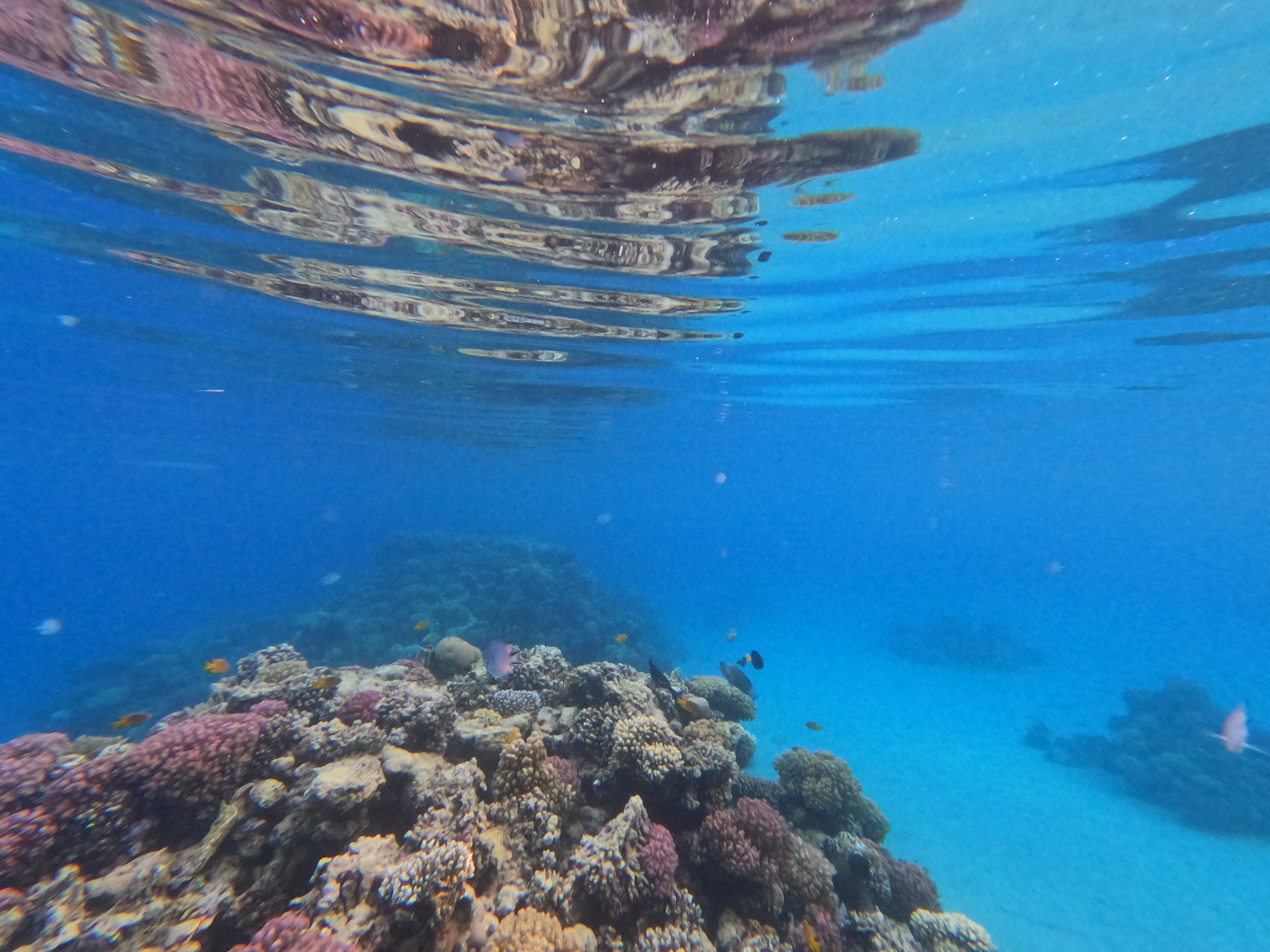 Фото Fort Arabesque Resort, SPA & Villas