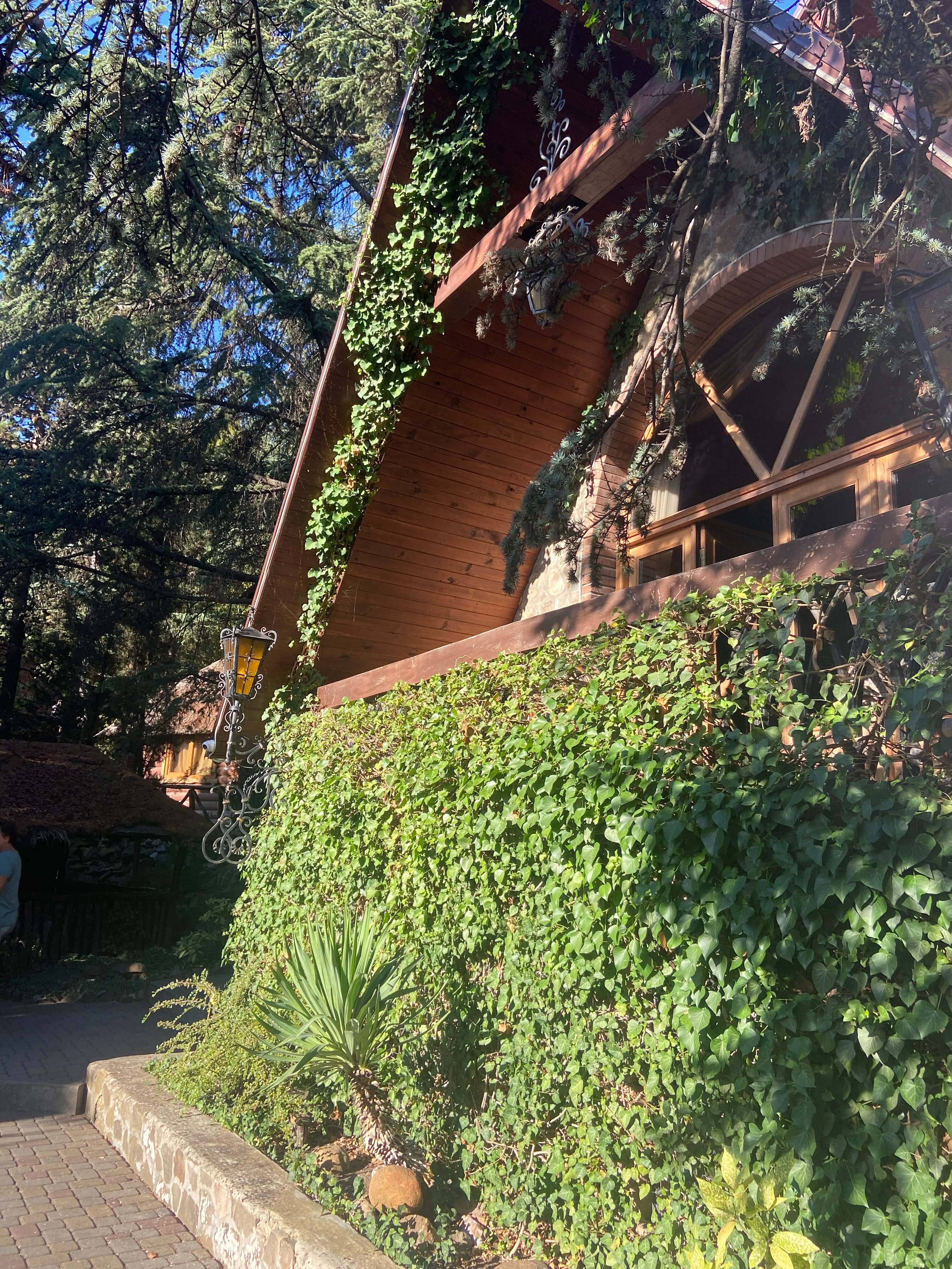 Фото Лесной