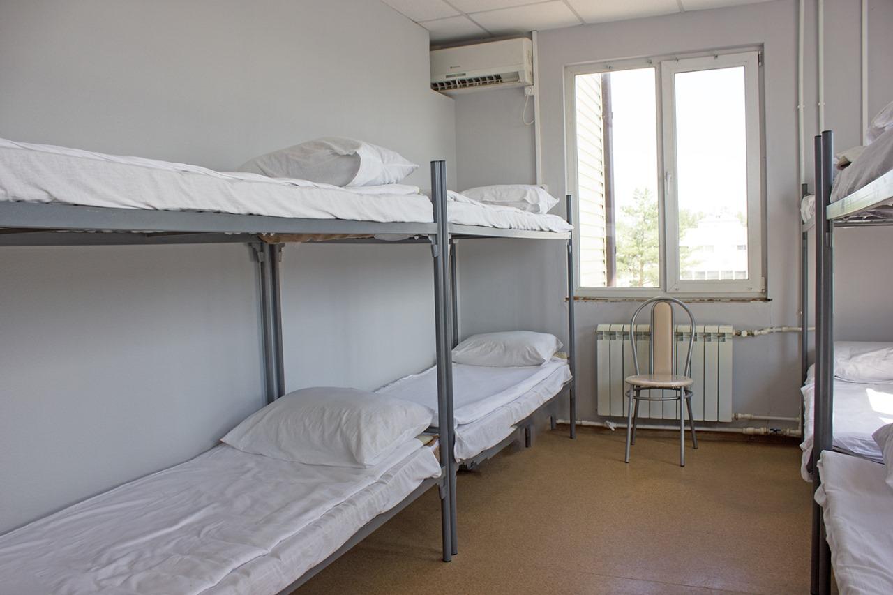 Фото Живитут