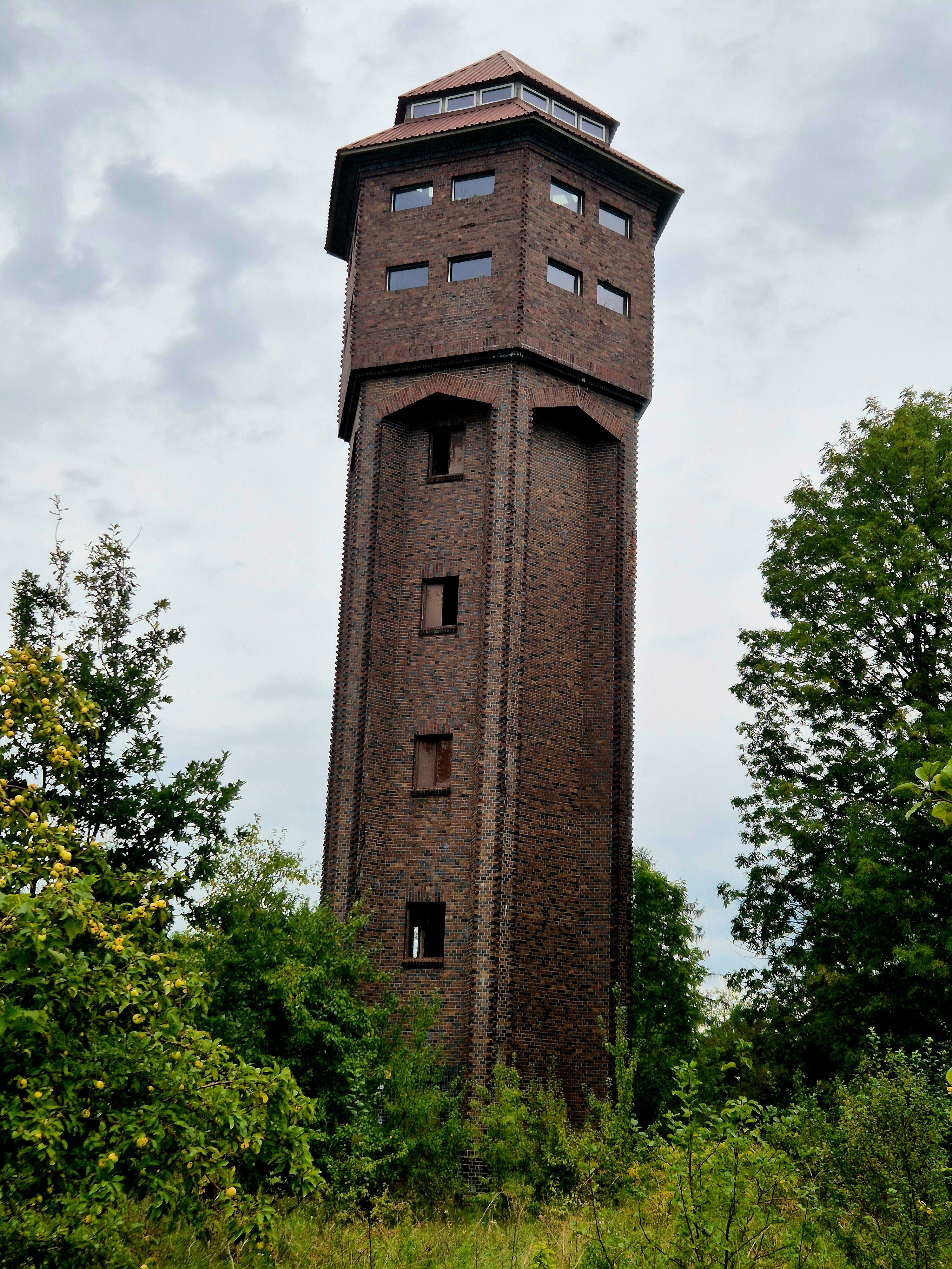 Олар менің әйелімнің порносын айналып өтті