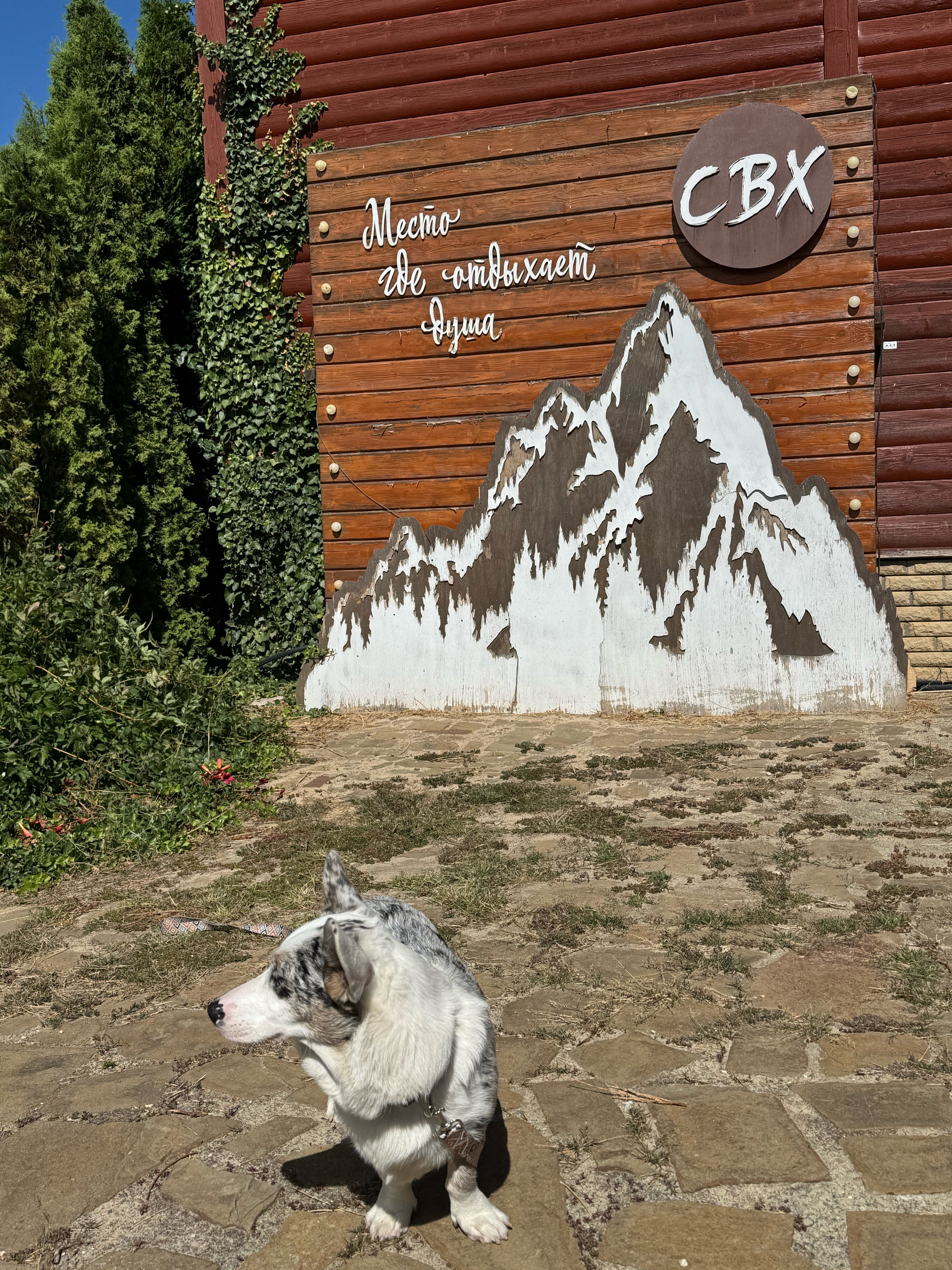 Фото База активного отдыха СВХ