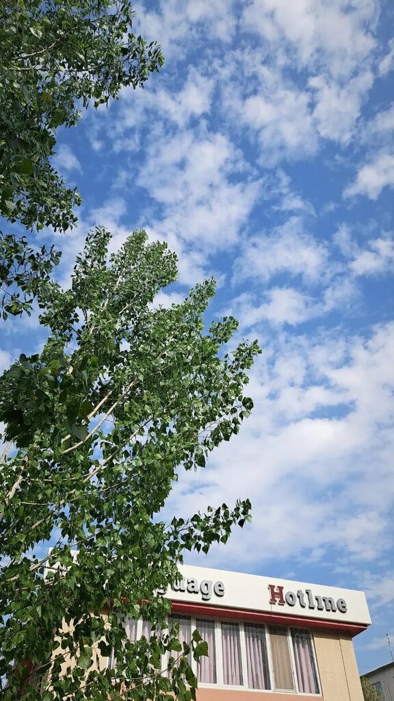 Educational center Language Hotline, Bukhara, photo