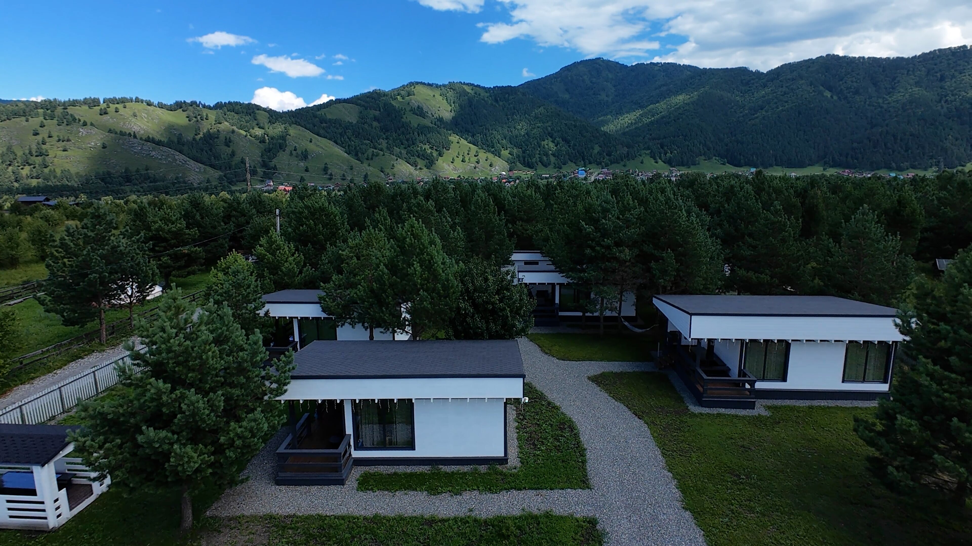 Фото Черника